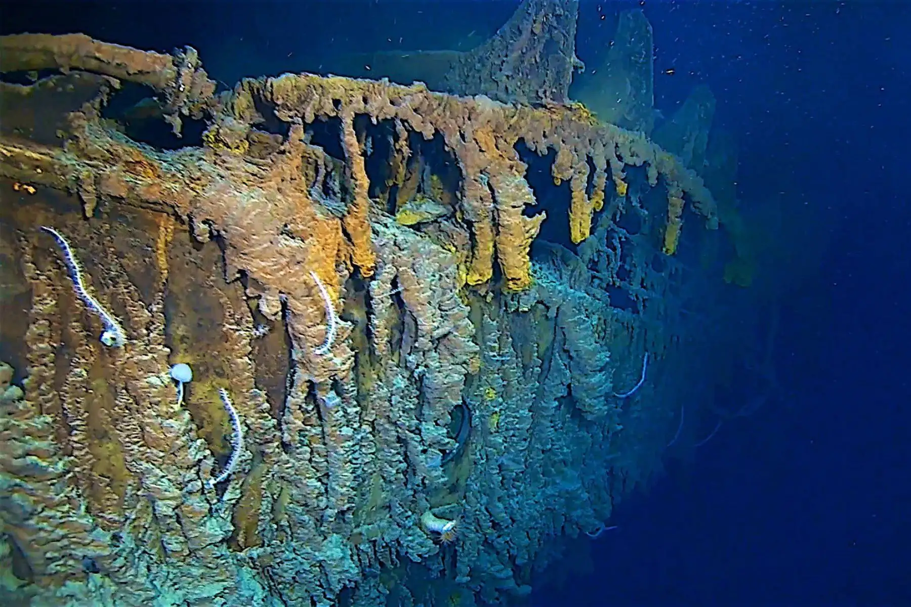 Atlantic, 22/08 / 2019.- Una foto de folleto sin fecha puesta a disposición por Atlantic Productions el 22 de agosto de 2019 muestra la proa del barco Titanic, así como los rustículos desprendidos debajo del ancla de babor del RMS Titanic, fuera del costa de Terranova, Canadá, en el Atlántico (emitido el 22 de agosto de 2019). EFE