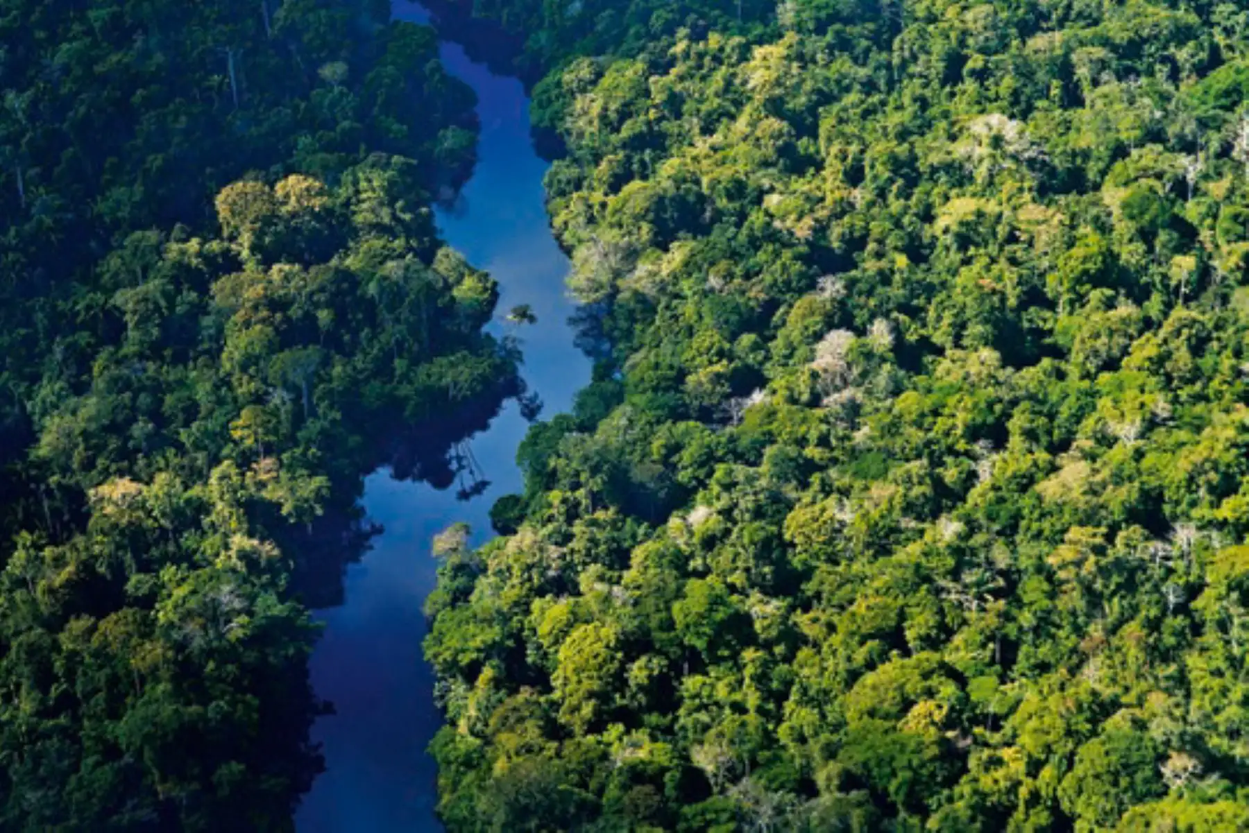 Perú monitorea calidad del aire en frontera con Bolivia y Brasil´, donde ocurren incendios en su selva amazónica.
