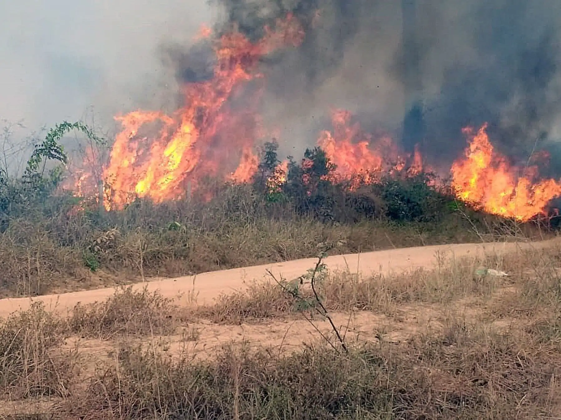 Fotografía del 21 de agosto de 2019, cedida por la Brigada Municipal que muestra uno de los incendios que azotan la amazonía brasileña, en Porto Velho, capital del estado amazónico de Rondonia (Brasil). EFE