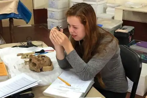 Estudio arqueológico a osamentas halladas en la huaca Santa Rosa de Pucalá, en Lambayeque, busca determinar cómo la cultura Wari se vinculó con los Mochica. ANDINA/Difusión