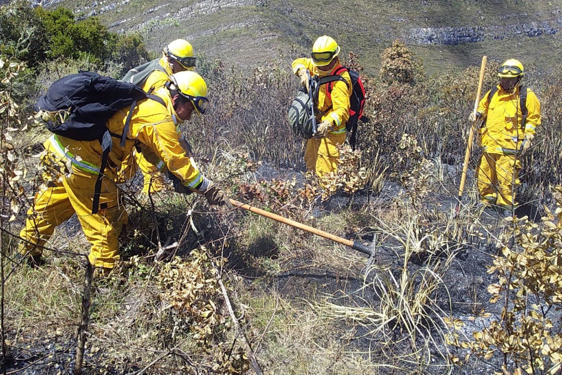 Bomberos del Sernanp y miembros del Ejército controlan incendio forestal en zona cercana a volcán Chachani, en Arequipa. ANDINA/Difusión