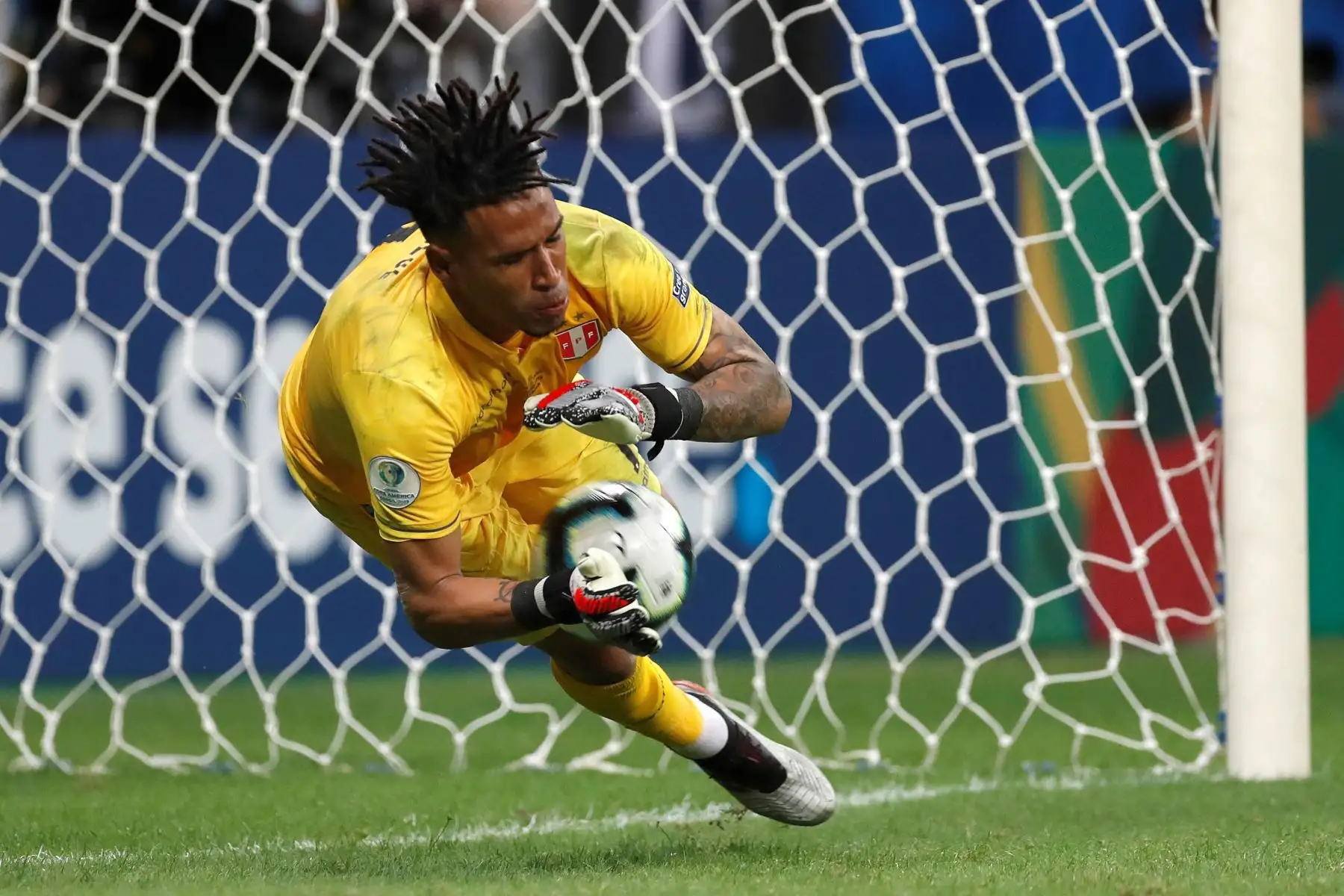 Pedro Gallese