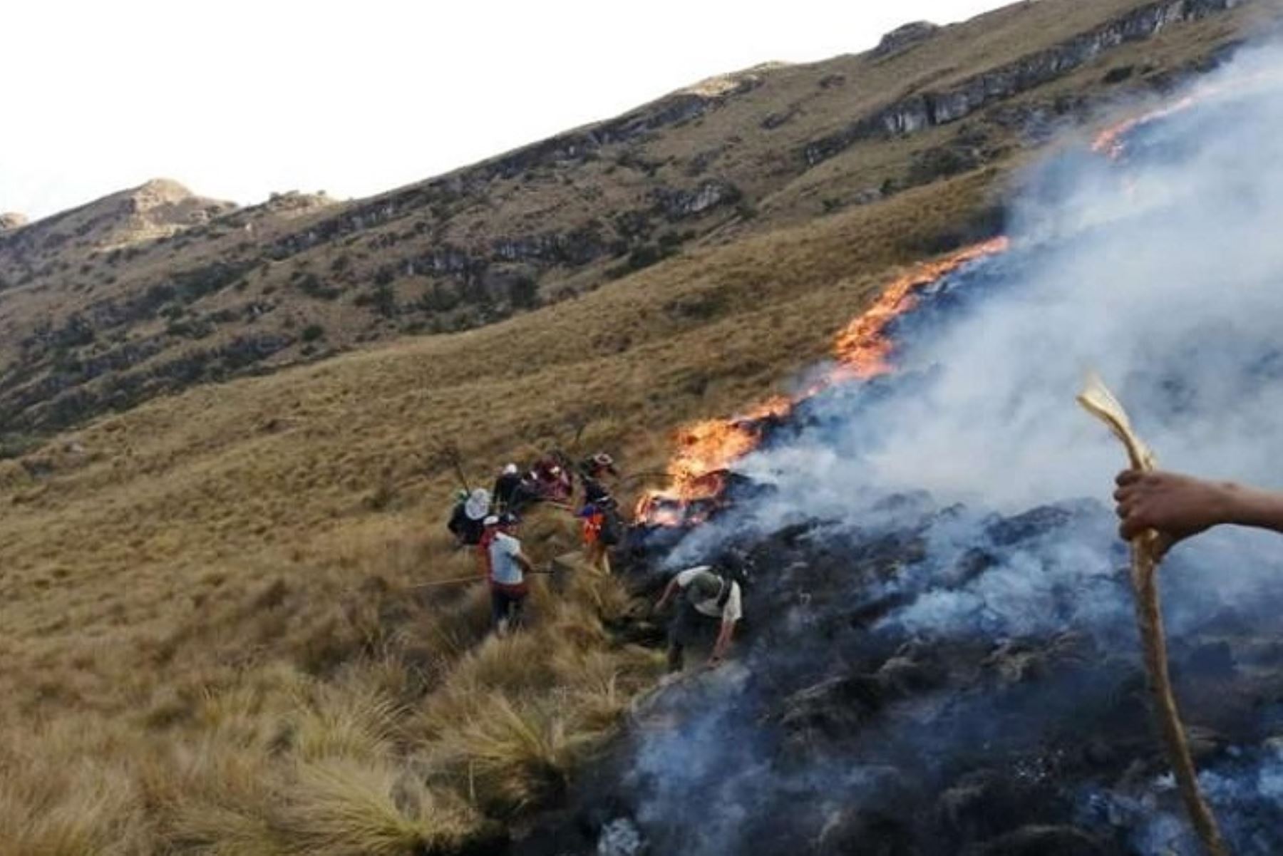 Arequipa: reportan nuevo incendio forestal en distrito de Andagua. ANDINA/Foto referencial
