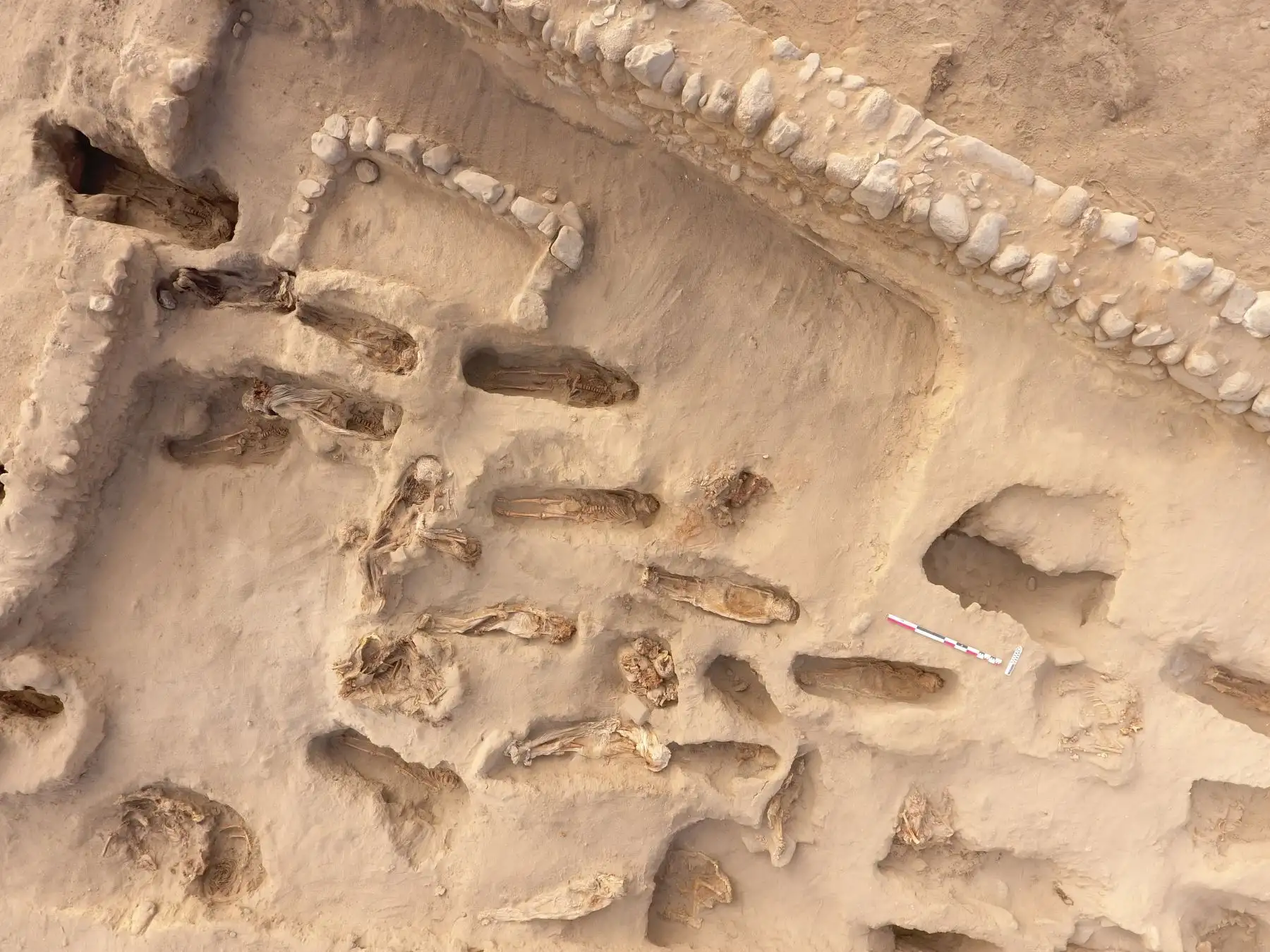 Los estudios de los huesos también determinaron que los niños chimús sacrificados en esta cultura tendrían edades comprendidas entre los 4 y 12 años. Foto: Cortesía/Proyecto Arqueológico Huanchaco
