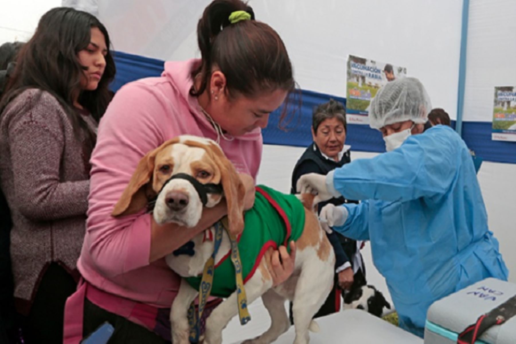 El Centro Nacional de Epidemiología, Prevención y Control de Enfermedades del Minsa y Diresa Cusco mantienen vigilancia epidemiológica en el distrito de Santo Tomás, región Cusco, con educación sanitaria y campañas de vacunación antirrábica canina.