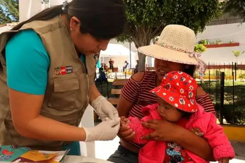 Ministerios e instituciones del Estado llevaron servicios a comunidad de Ica.
