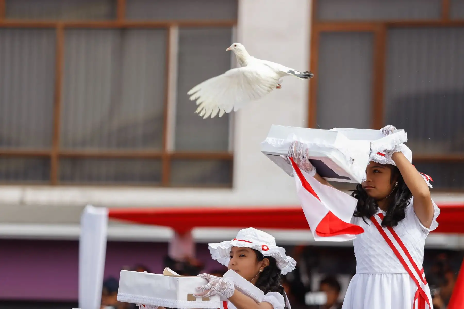 Presidente Vizcarra participa en la ceremonia por el 90 aniversario de la reincorporación de Tacna a la heredad nacional. Foto: ANDINA/Prensa Presidencia