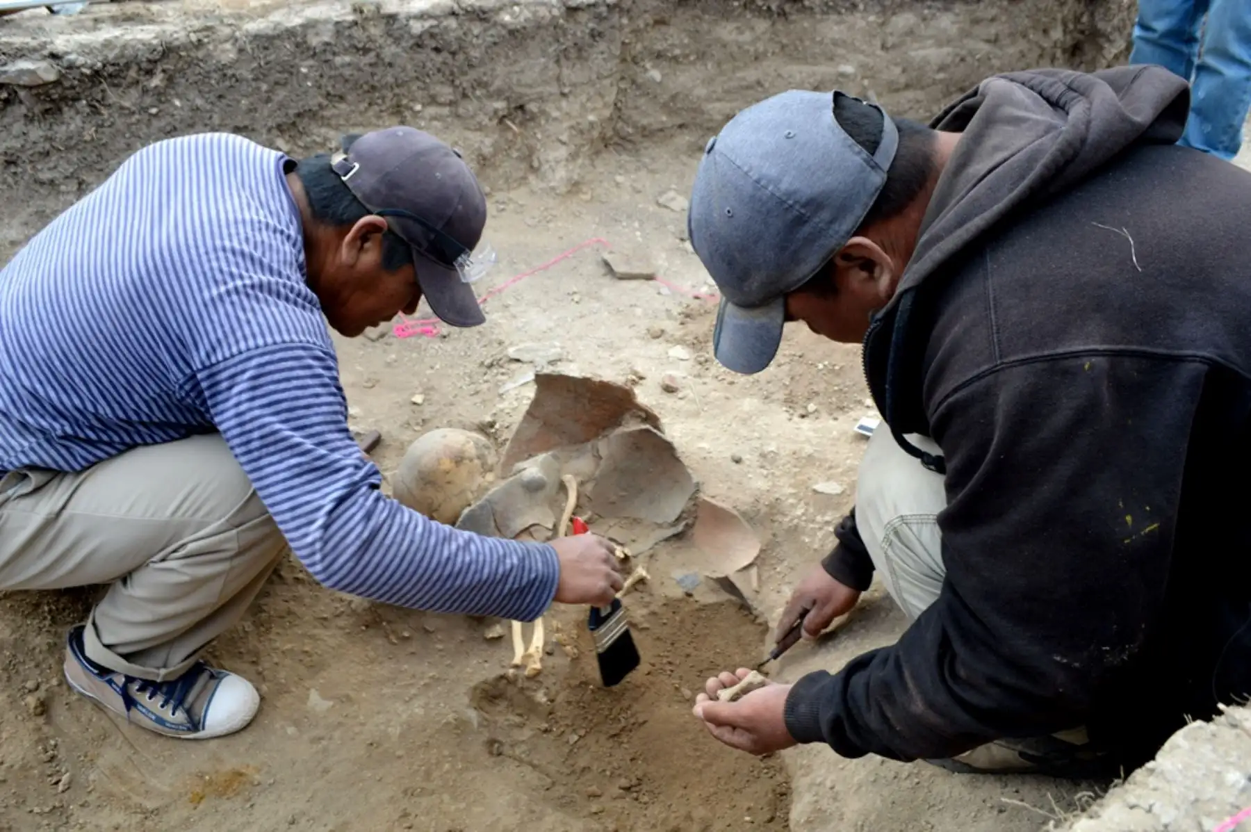 Un equipo de arqueólogos de la Universidad de Harvard y la Universidad Nacional Mayor de San Marcos, hallaron restos óseos de un antiguo poblador de la cultura Caxamarca, que habitó hace 1,500 años (Periodo Cajamarca Medio) en el sector Isconconga, ubicado a 7 kilómetros de la ciudad de Cajamarca. Foto: ANDINA/Eduard Lozano
