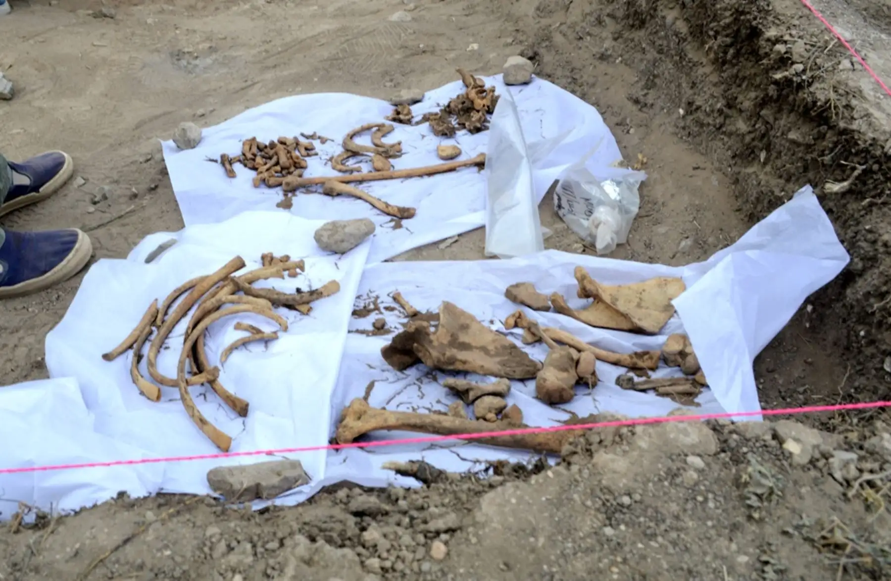 Un equipo de arqueólogos de la Universidad de Harvard y la Universidad Nacional Mayor de San Marcos, hallaron restos óseos de un antiguo poblador de la cultura Caxamarca, que habitó hace 1,500 años (Periodo Cajamarca Medio) en el sector Isconconga, ubicado a 7 kilómetros de la ciudad de Cajamarca. Foto: ANDINA/Eduard Lozano