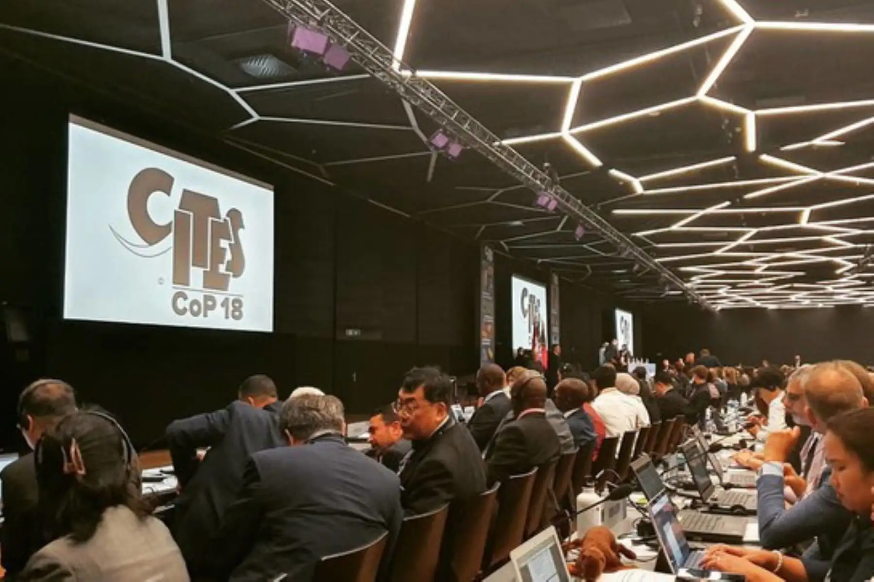 Perú participó en la Decimoctava Reunión de la Conferencia de las Partes de la Convención sobre el Comercio Internacional de Especies Amenazadas de Fauna y Flora Silvestres en Suiza.