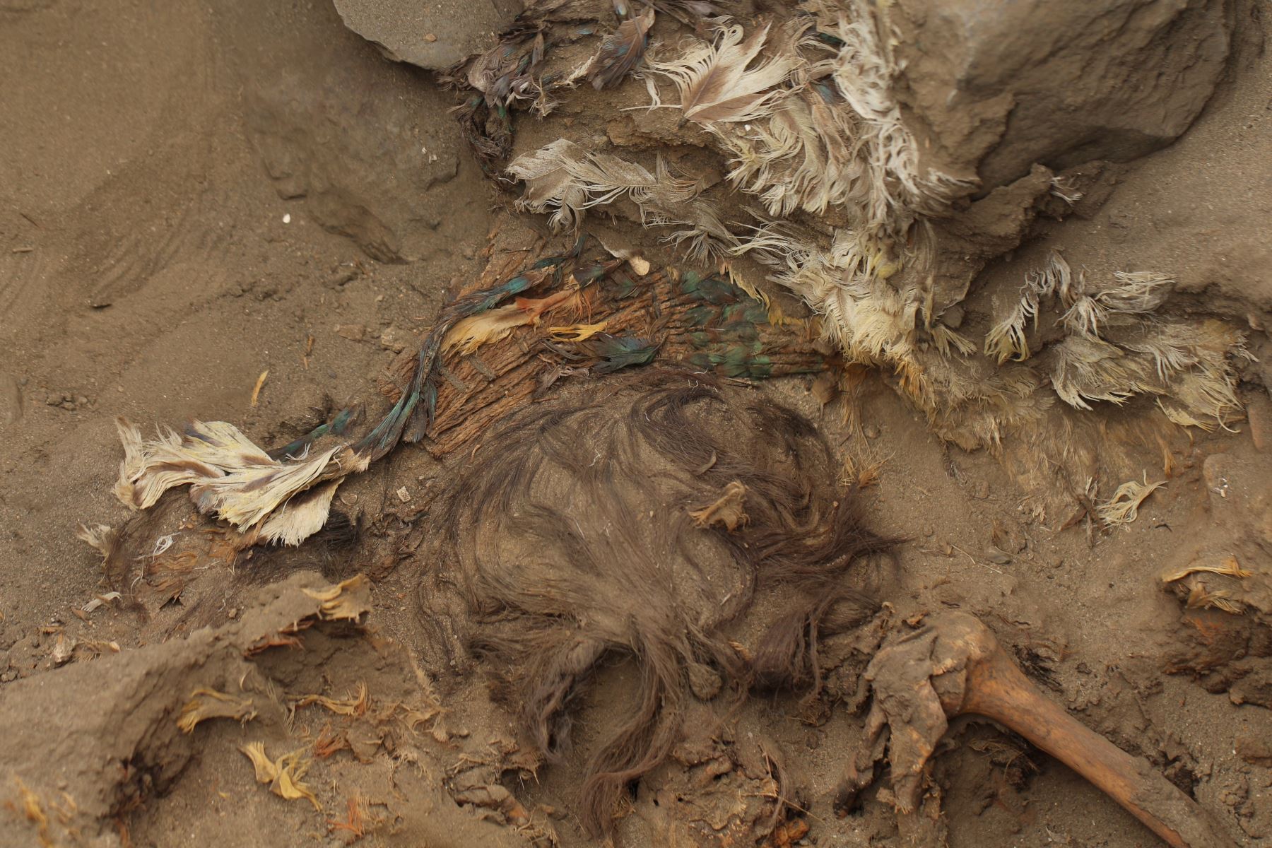 Peru: Archaeologists find exotic feather headdress and tabard in Pampa La Cruz