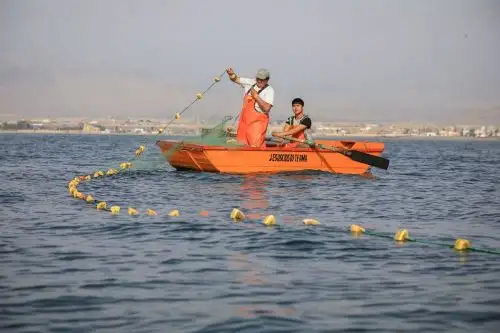 Pescador artesanal. Foto: Cortesía.