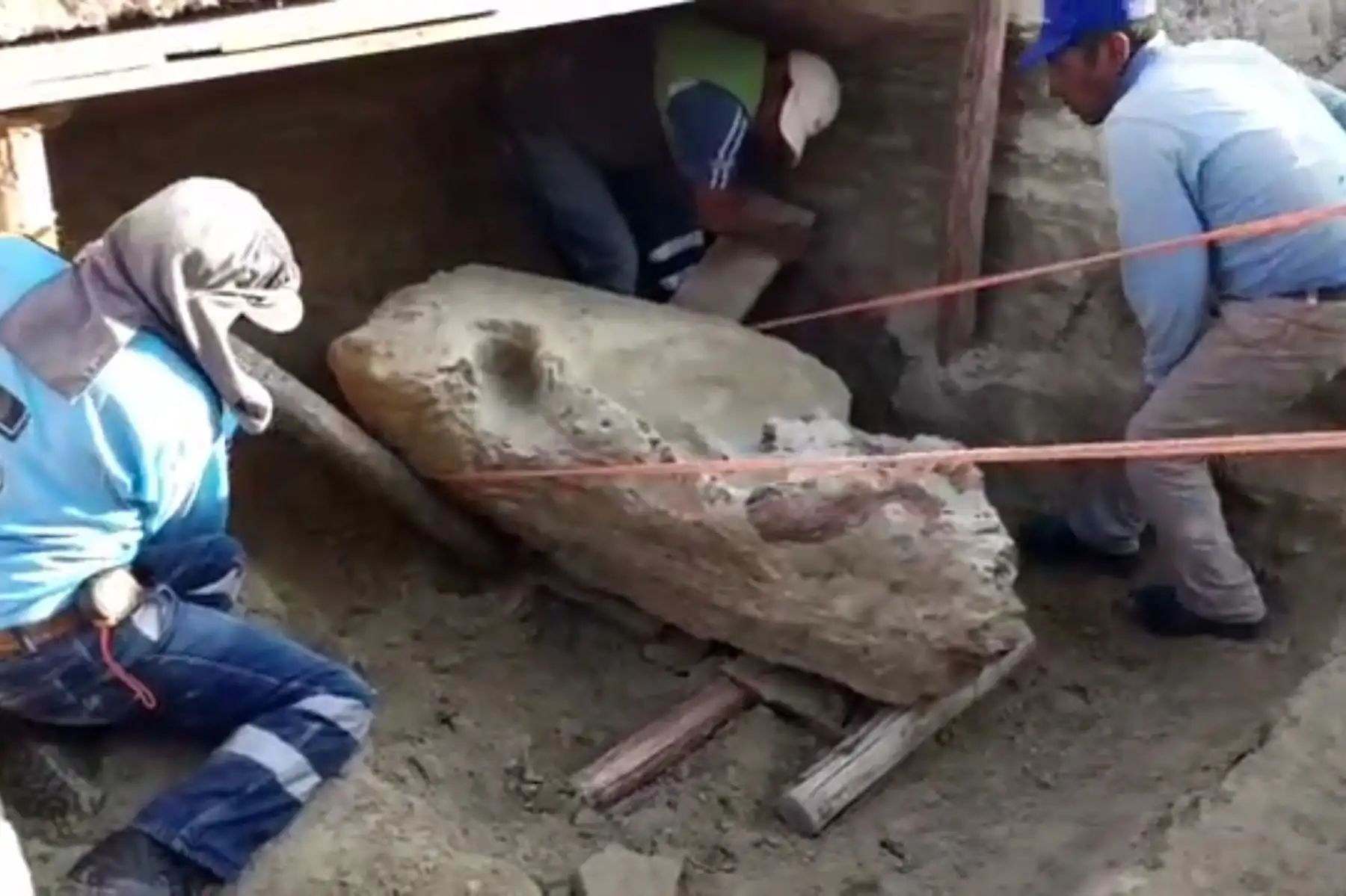 Trabajadores municipales hallan impresionante fósil de probable toxodonte en Yauri, capital de Espinar, en Cusco. ANDINA/Difusión