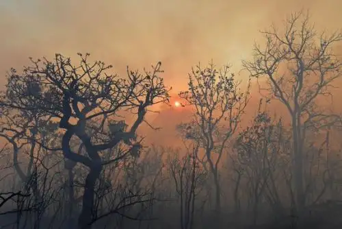 Aumento de aerosoles por quema de bosques afecta la calidad del aire y la salud, reveló el Instituto Geofísico del Perú.
