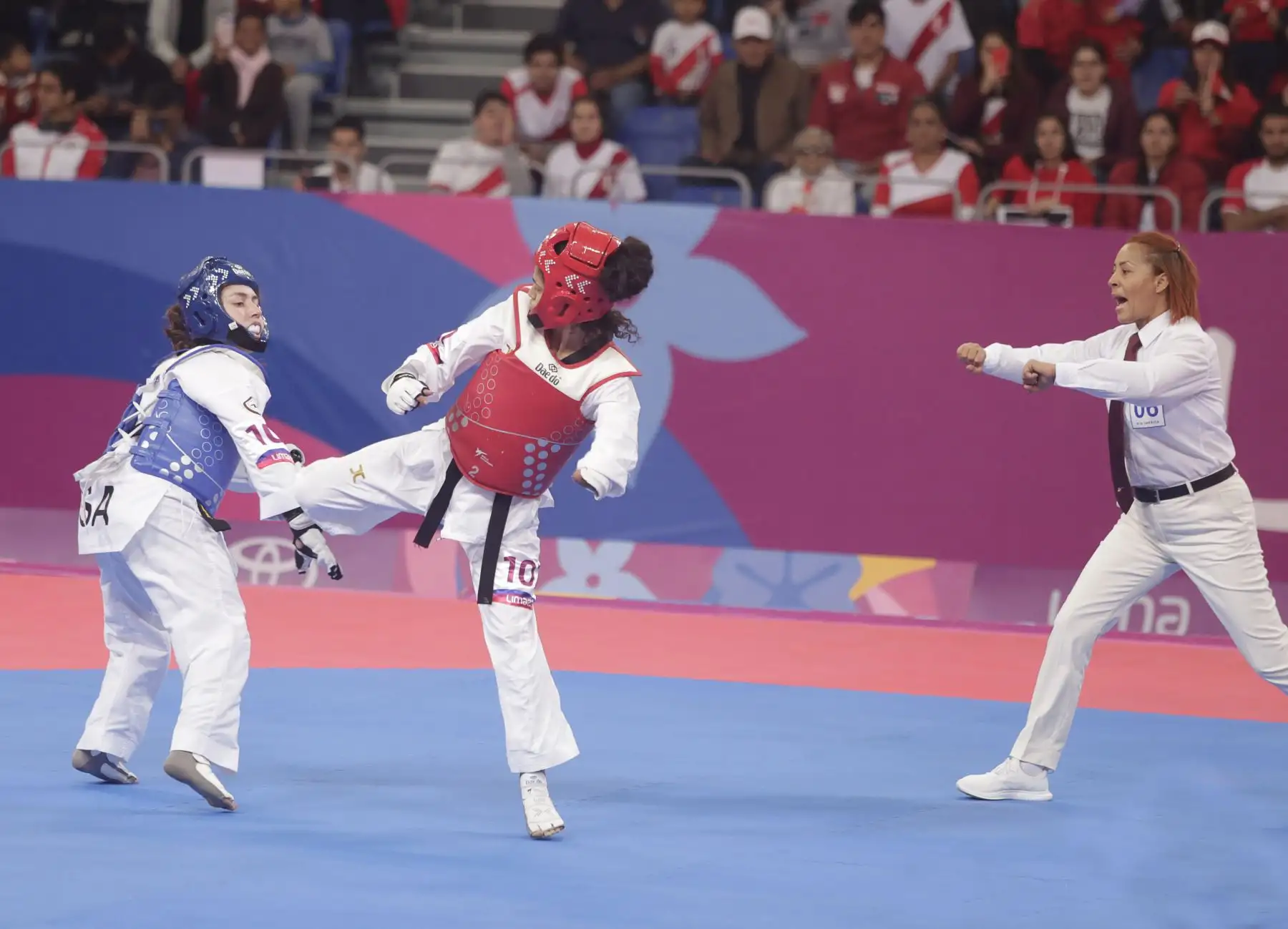 Angelica Espinoza obtiene medalla de oro en ParaTaewkondo. Foto: ANDINA/ Lima 2019