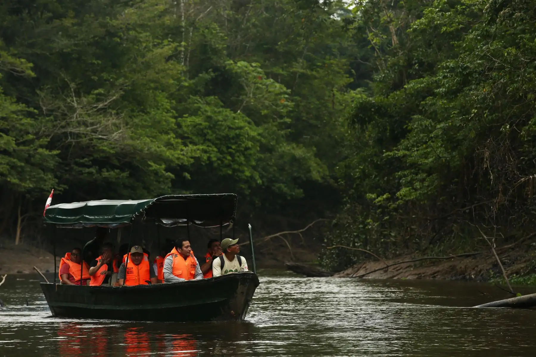 erú será pionero en Latinoamérica en monitoreo de bosques para medir el impacto del Cambio Climático. ANDINA/Melina Mejía