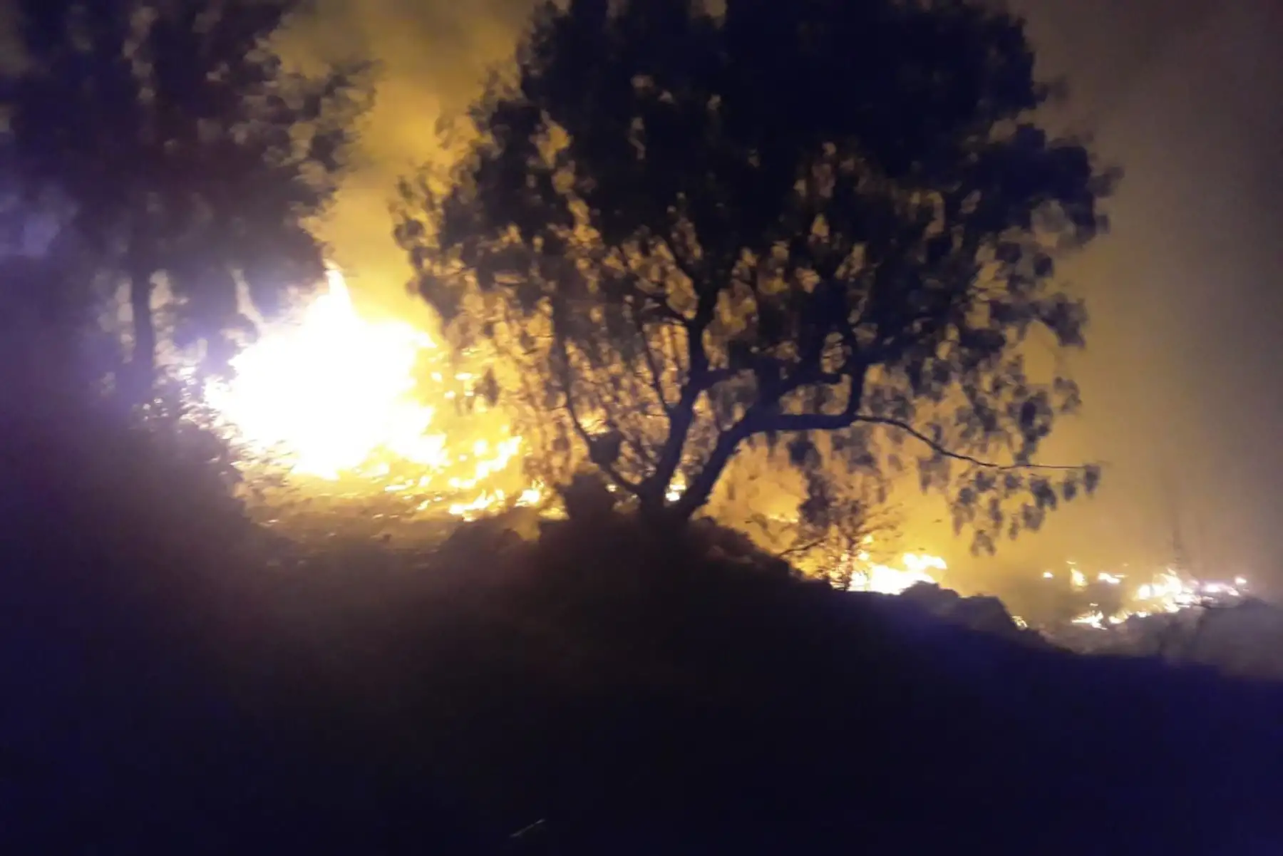 El incendio forestal de proporciones registrado muy cerca del Parque Nacional Huascarán (Áncash) afectó una hectárea de pastizales.