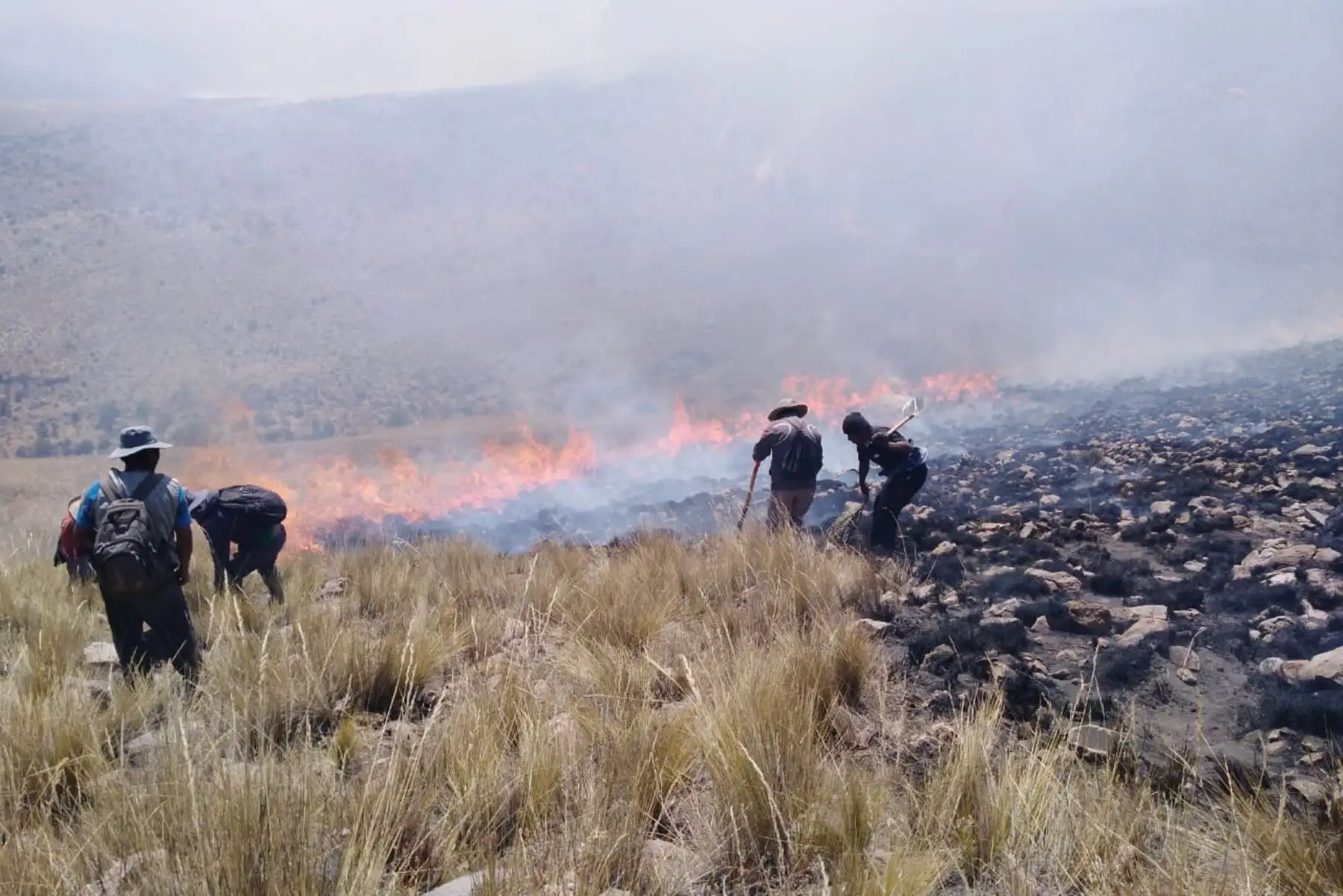 Esta mañana fue controlado el incendio forestal registrado desde el viernes en el distrito de Andagua, región Arequipa. Foto: COER Arequipa