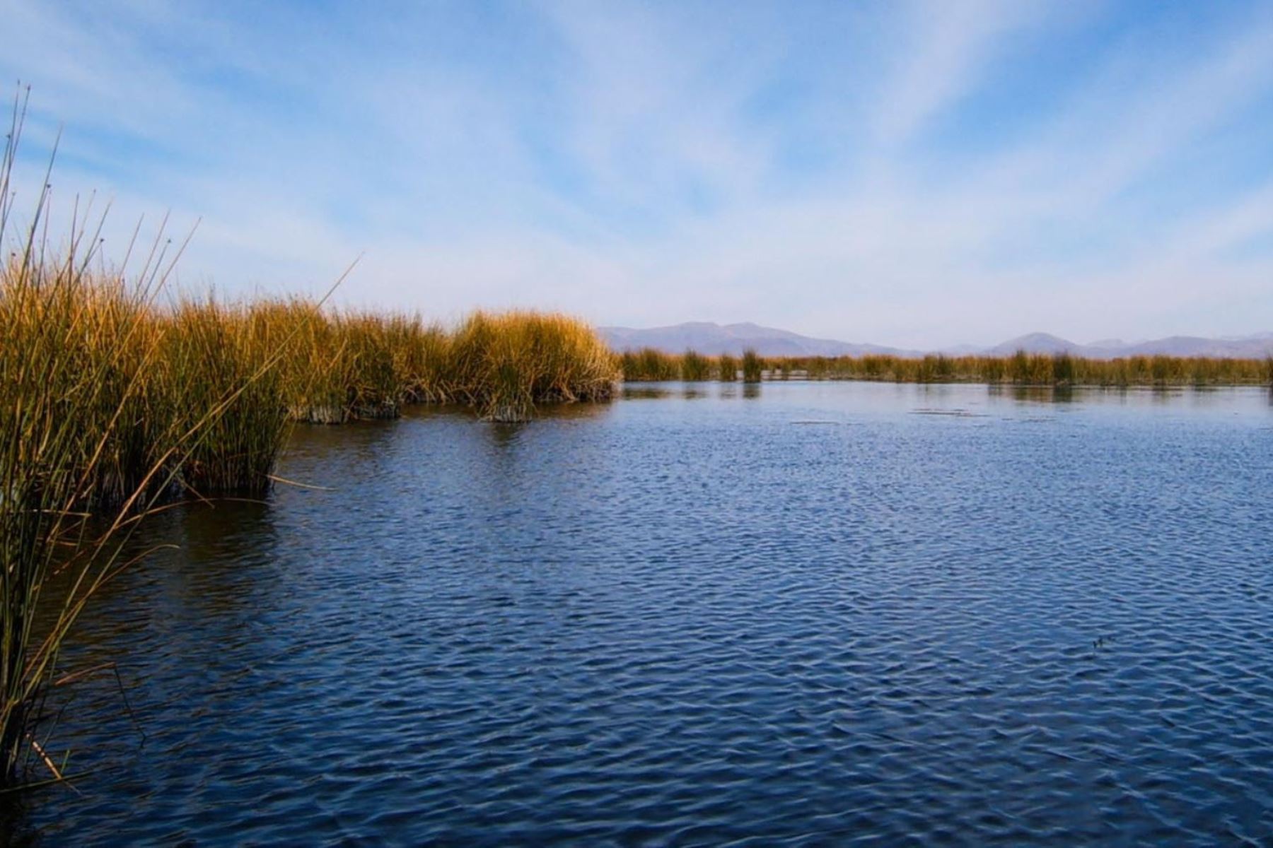 Ministerio del Ambiente aprueba plan de acción para la recuperación ambiental del lago Titicaca. ANDINA/Difusión