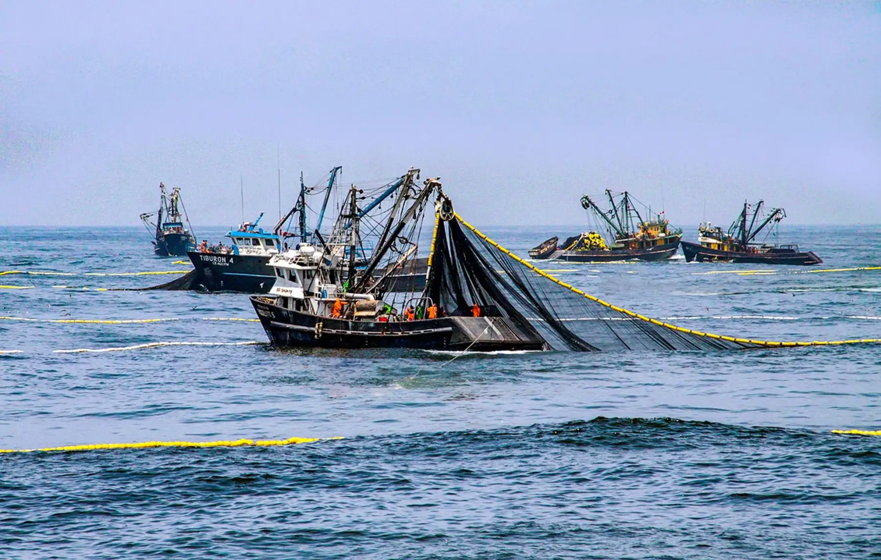 Pesca. Foto: ANDINA/Difusión.