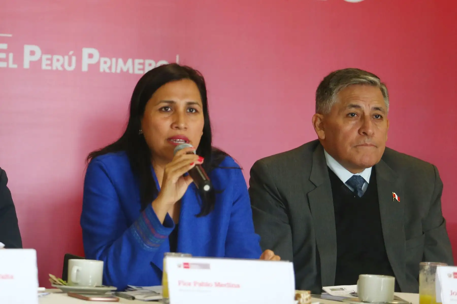 La Comisión de Educación debe explicar cuáles son sus intenciones respecto a la Sunedu. Foto: ANDINA/Héctor Vinces