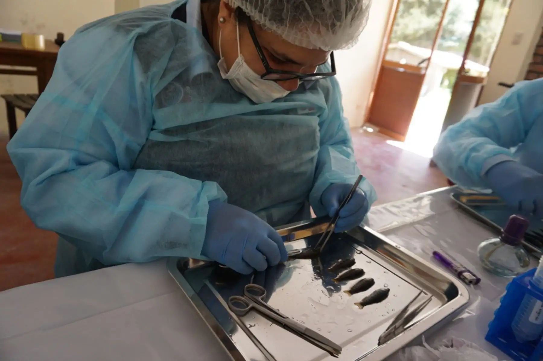 Transfieren recursos al Sanipes para realizar una investigación. ANDINA/Difusión