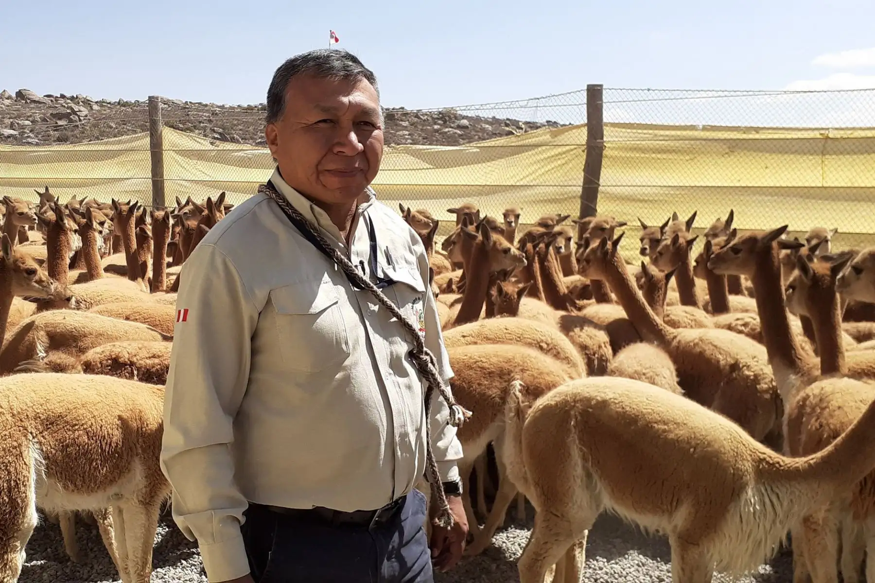La comunidad campesina de San Juan de Tarucani en la Reserva Nacional de Salinas y Aguada Blanca, región Arequipa, será escenario de la gran fiesta del Chaccu 2019 este 10 y 11 de setiembre.Foto.ANDINA/SERNANP La comunidad campesina de San Juan de Tarucani en la Reserva Nacional de Salinas y Aguada Blanca, región Arequipa, será escenario de la gran fiesta del Chaccu 2019 este 10 y 11 de setiembre.Foto.ANDINA/SERNANP
