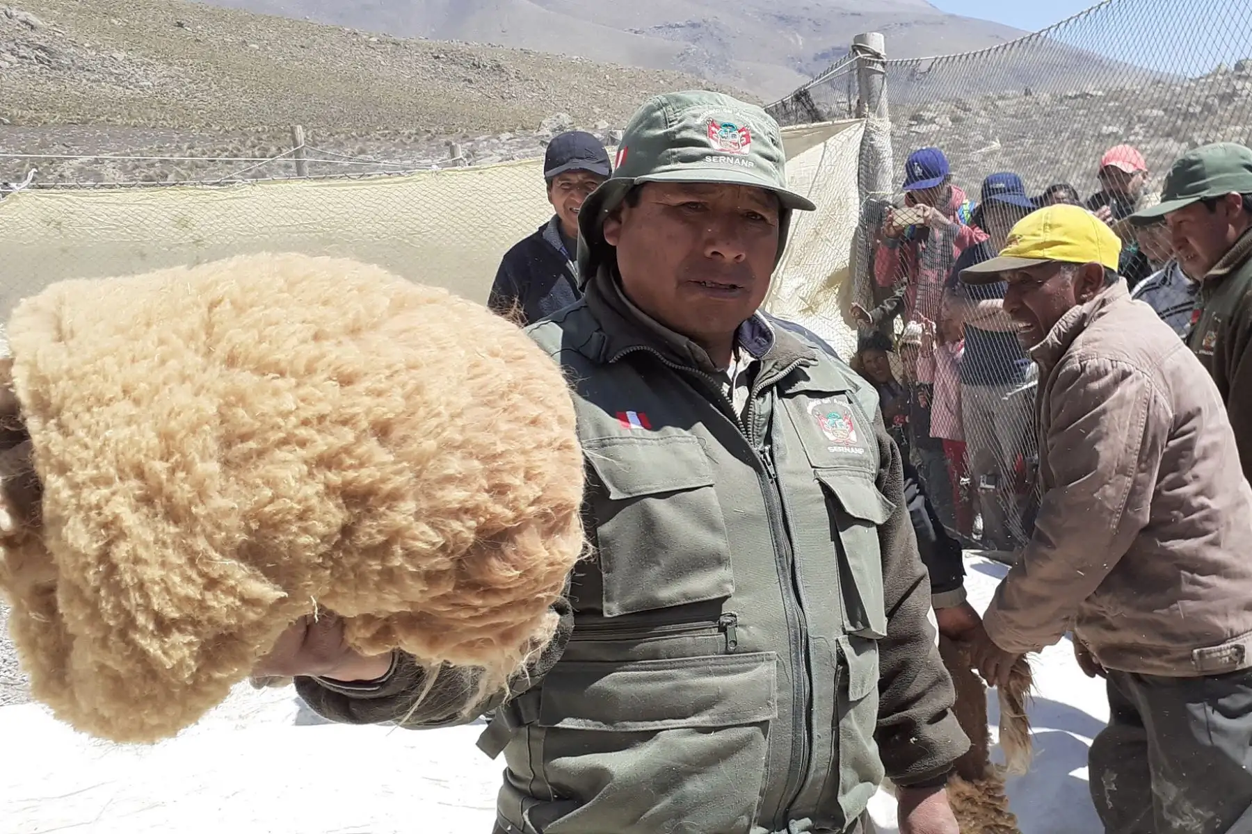La comunidad campesina de San Juan de Tarucani en la Reserva Nacional de Salinas y Aguada Blanca, región Arequipa, será escenario de la gran fiesta del Chaccu 2019 este 10 y 11 de setiembre.Foto.ANDINA/SERNANP La comunidad campesina de San Juan de Tarucani en la Reserva Nacional de Salinas y Aguada Blanca, región Arequipa, será escenario de la gran fiesta del Chaccu 2019 este 10 y 11 de setiembre.Foto.ANDINA/SERNANP