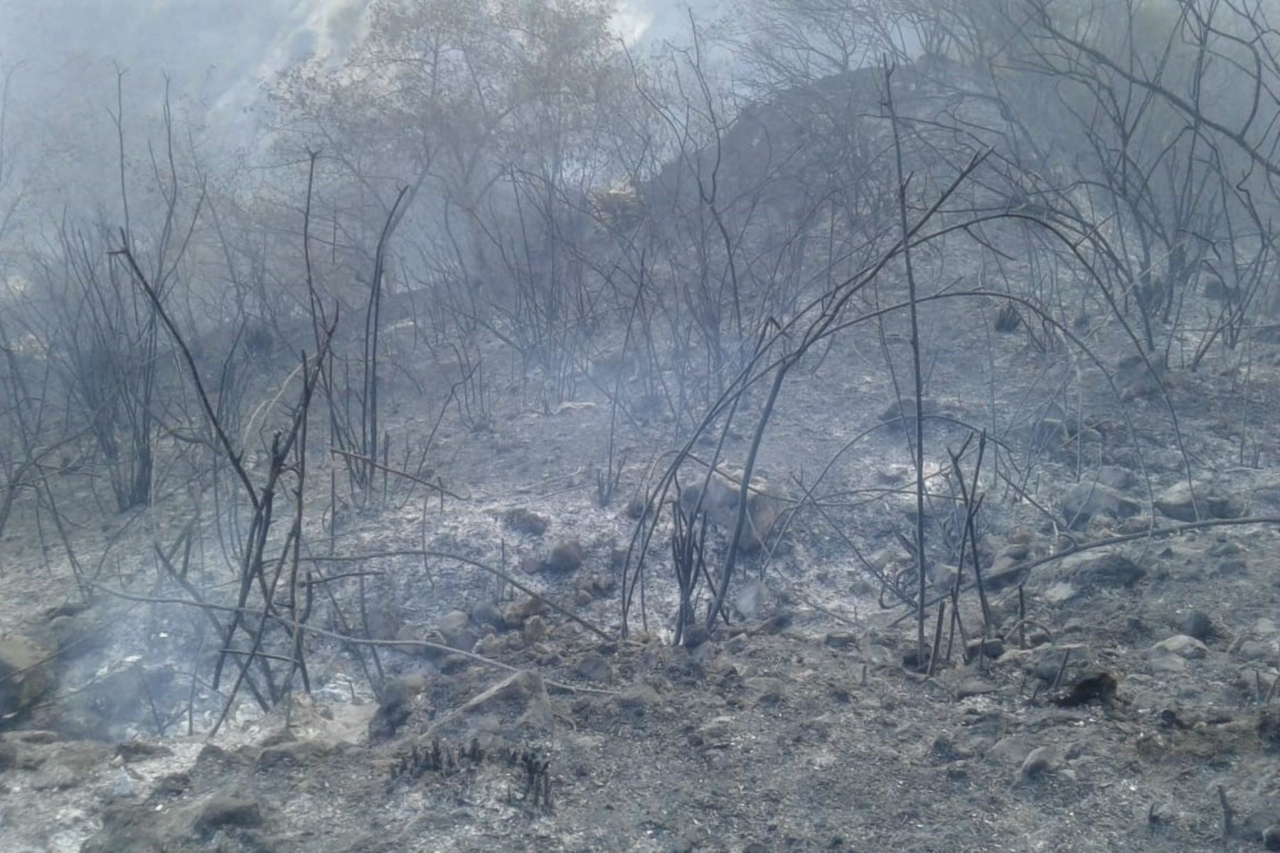 Otro incendio forestal en Apurímac, arrasó 30 hectáreas de pastos naturales.ANDINA/Difusión