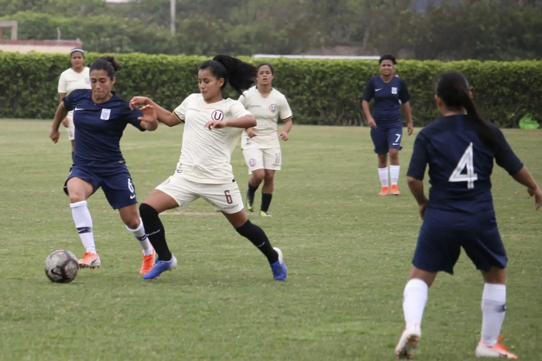 Universitario  derrotó 1 a 0 a Alianza Lima en el clásico del futbol femenino  en Campo Mar.
Foto: ANDINA/Difusión