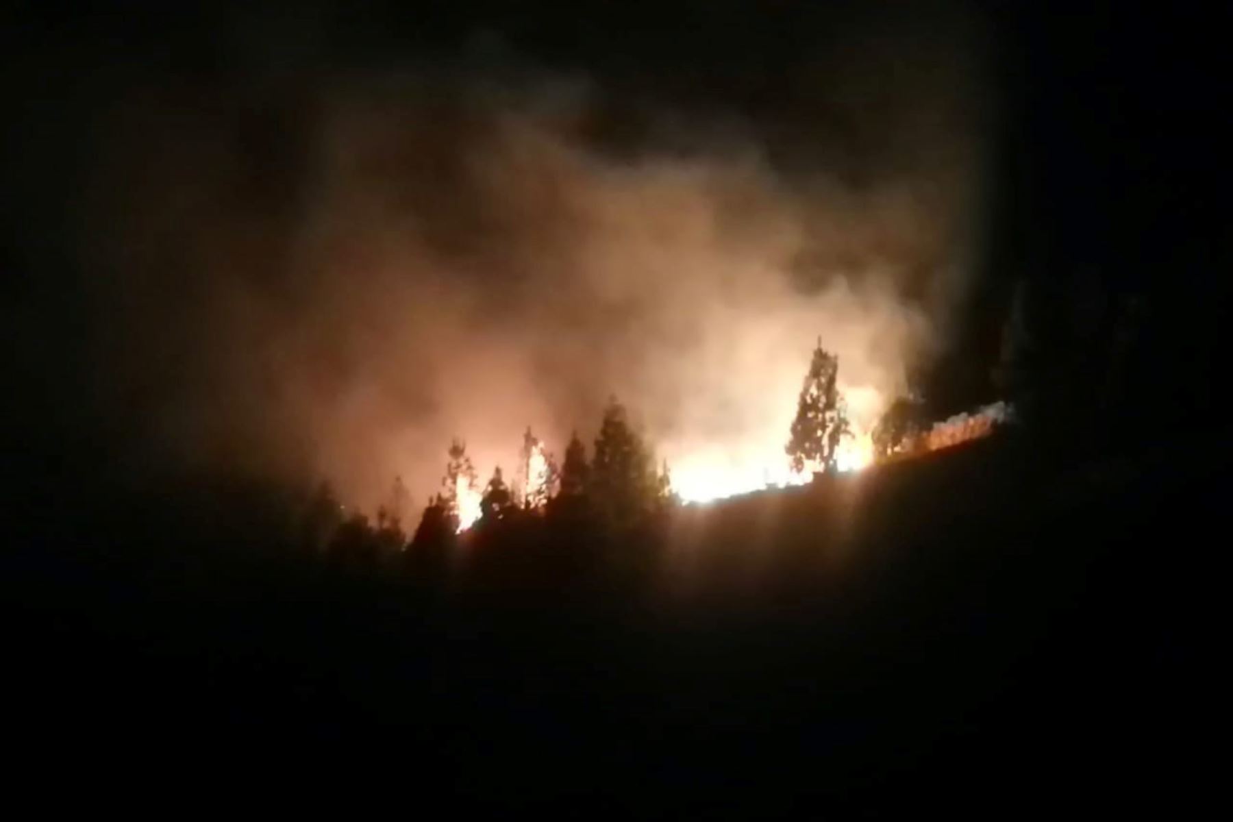 Incendio forestal afecta unos 150 plantones de pino en Pallasca, en Áncash. ANDINA/Difusión