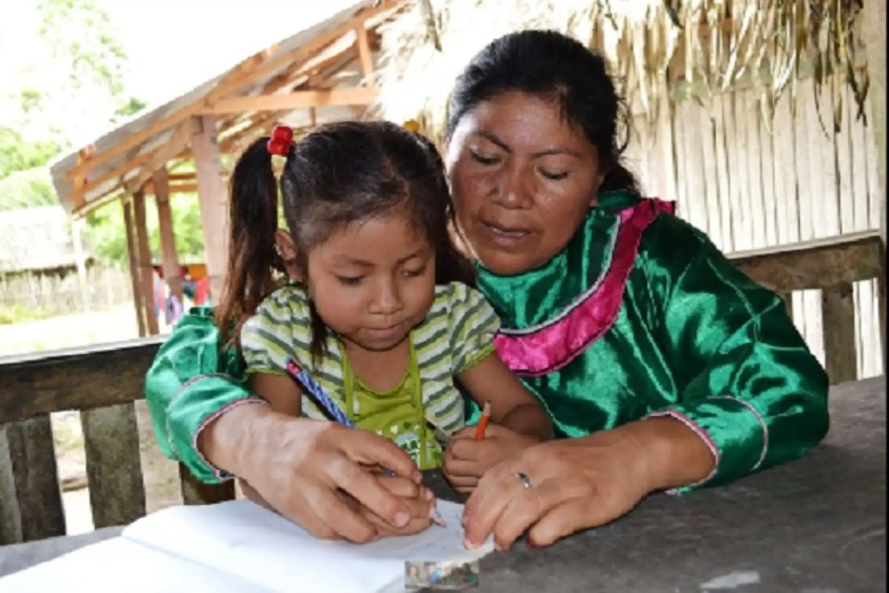 Un total de 1,116 gestantes, niños, adolescente y jóvenes nativos menores de 19 años que viven en los lugares más apartados de la provincia de Puerto Inca, en la selva de Huánuco, reciben los servicios de salud y educación por intervención de Juntos, programa social del Ministerio de Desarrollo e Inclusión Social (Midis).