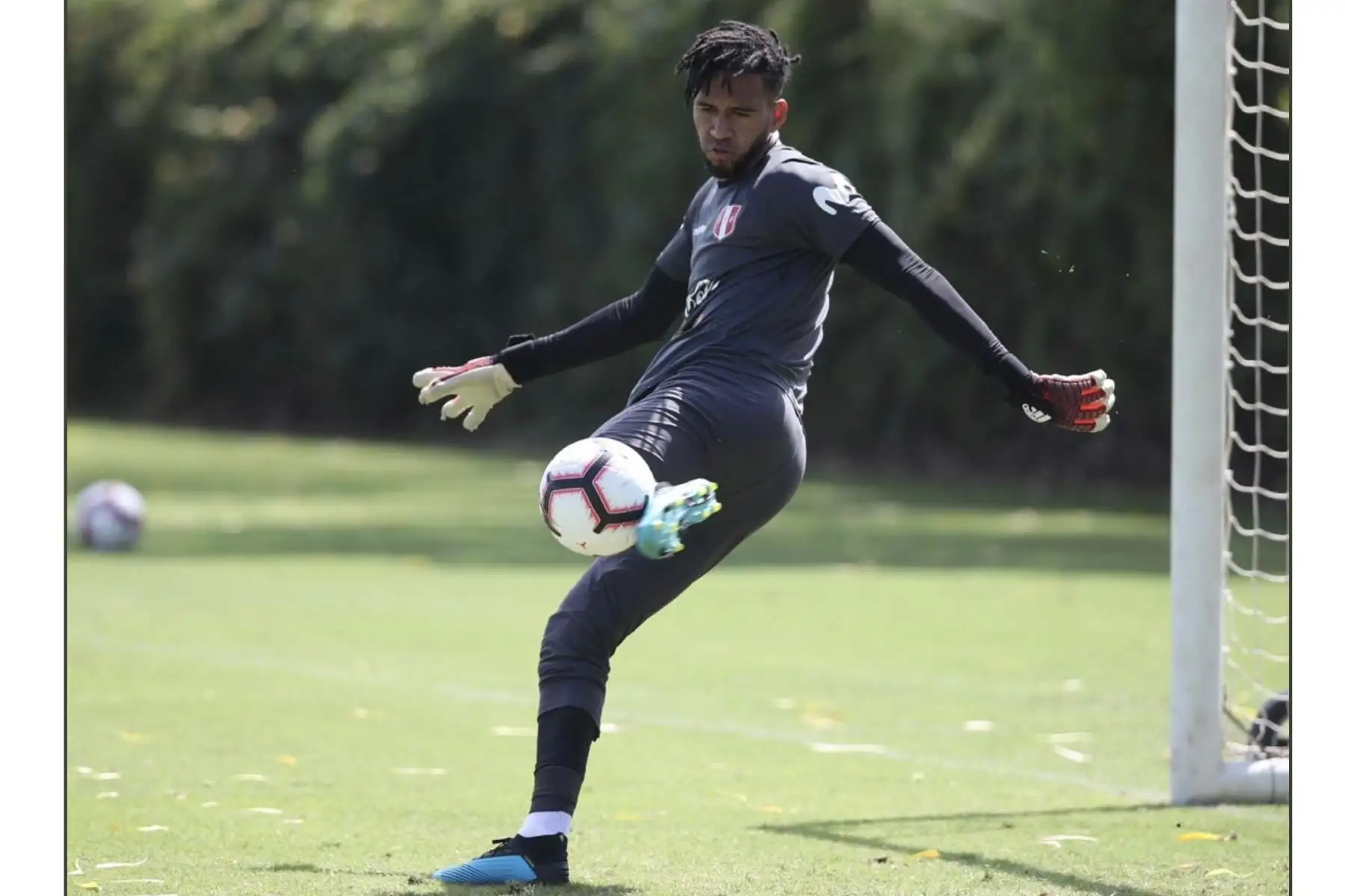 Pedro Gallese, entreno en La selección Peruana de futbol al mando del profesor Ricardo Gareca en el Banc of California Stadium.Foto:ANDINA/FPF