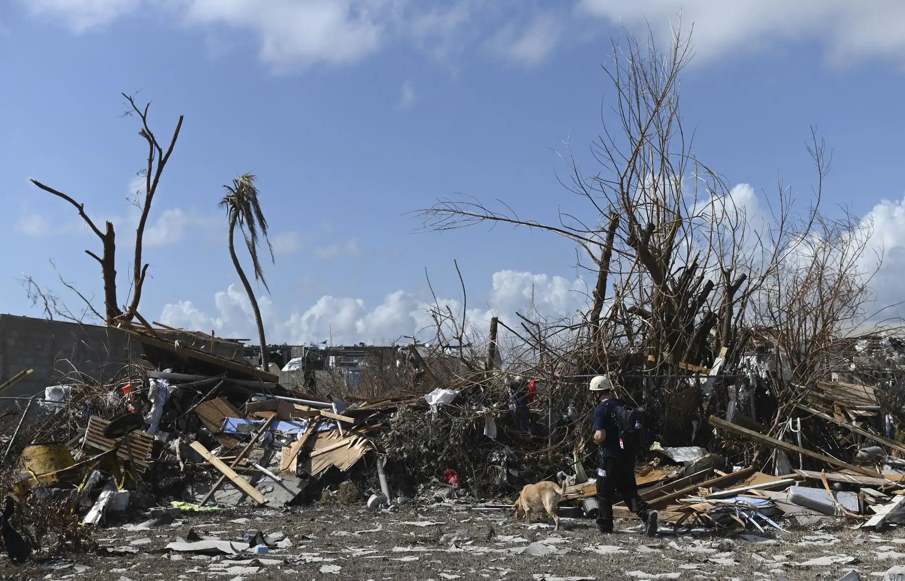 Un equipo canadiense de búsqueda y rescate busca en los escombros en Marsh Harbour, Bahamas, una semana después del paso del huracán Dorian. Las autoridades de Bahamas han actualizado el número de muertos por el huracán Dorian y superan mas de 50 fallecidos. Foto: AFP