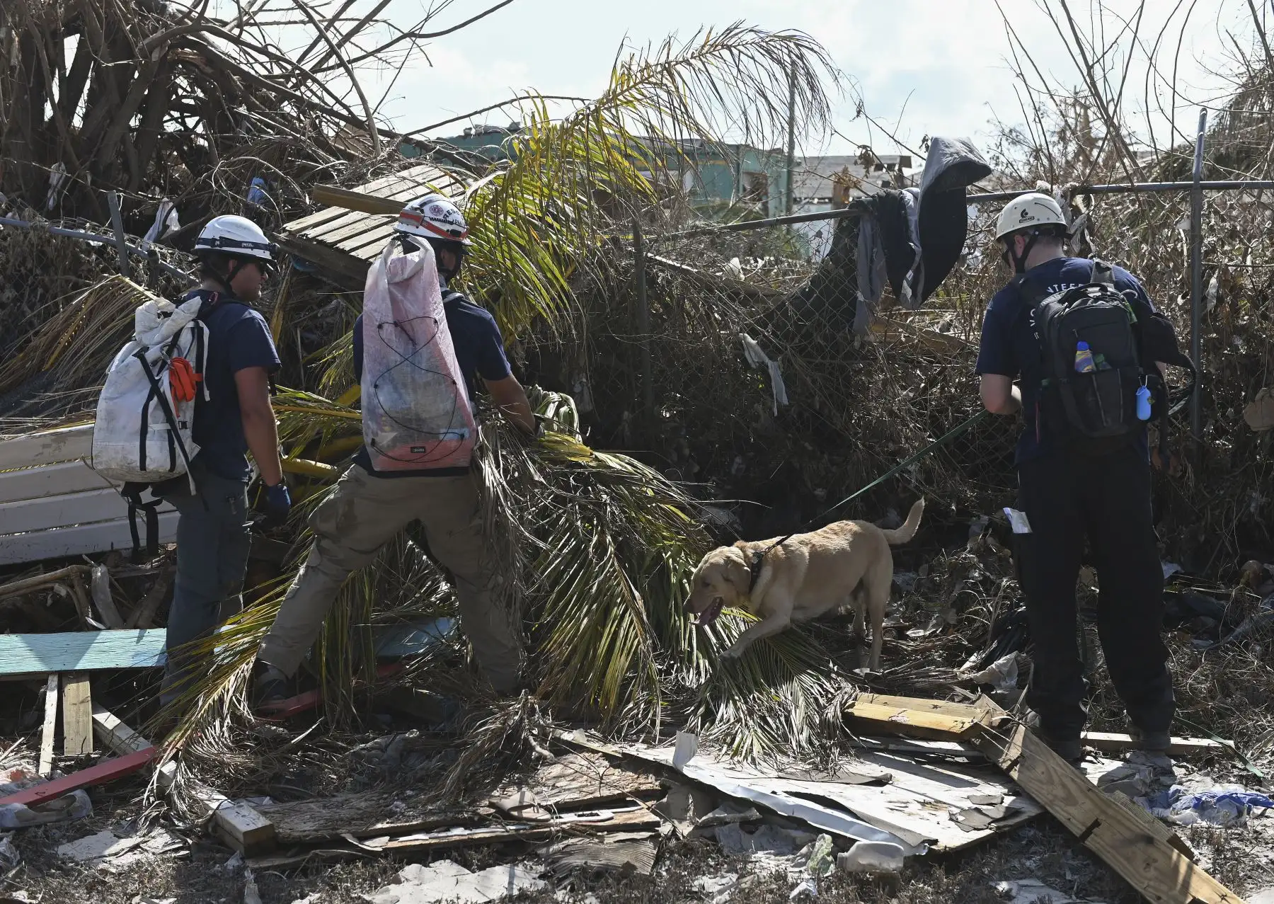 Un equipo canadiense con perros de búsqueda y rescate, buscan en los escombros en Marsh Harbour, Bahamas, una semana después del paso del huracán Dorian. Las autoridades de Bahamas han actualizado el número de muertos por el huracán Dorian y superan mas de 50 fallecidos. Foto: AFP