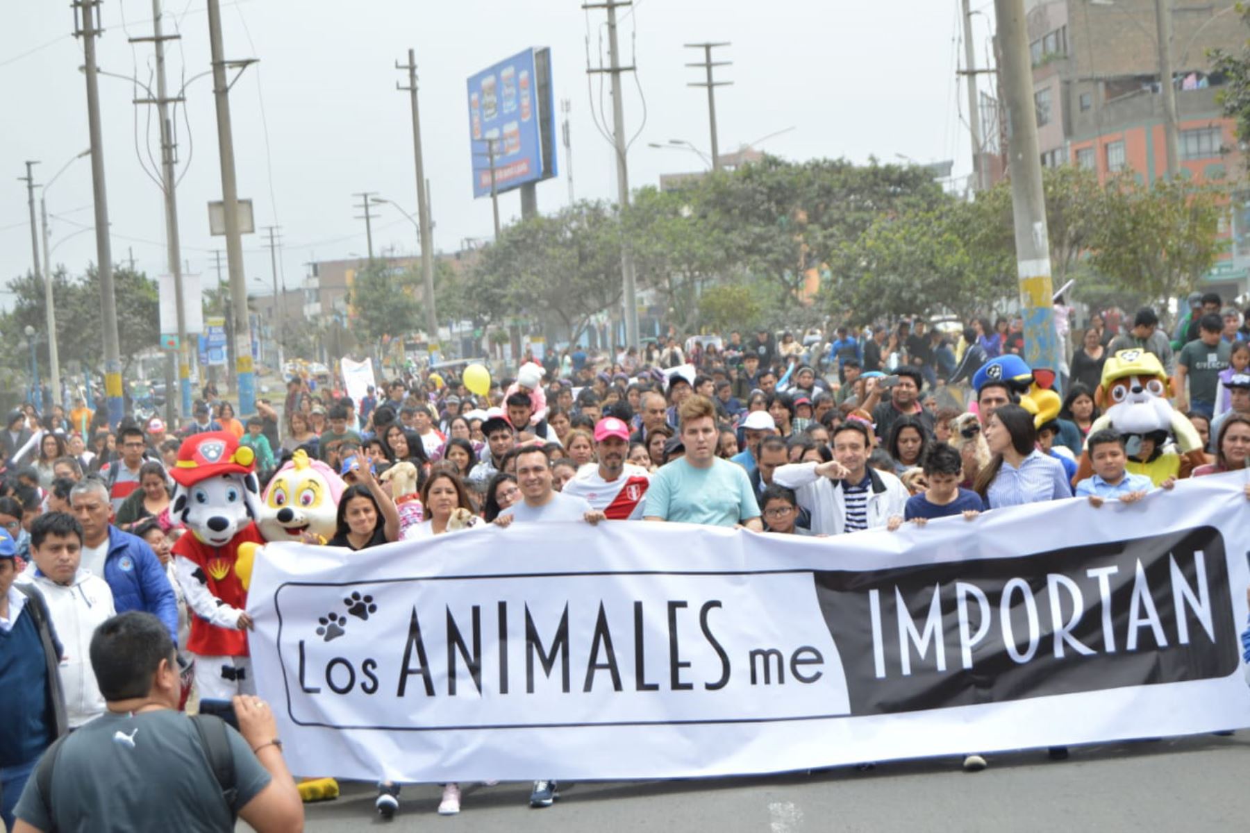 Marcha en Comas contra el maltrato animal. Foto: Andina/Difusión
