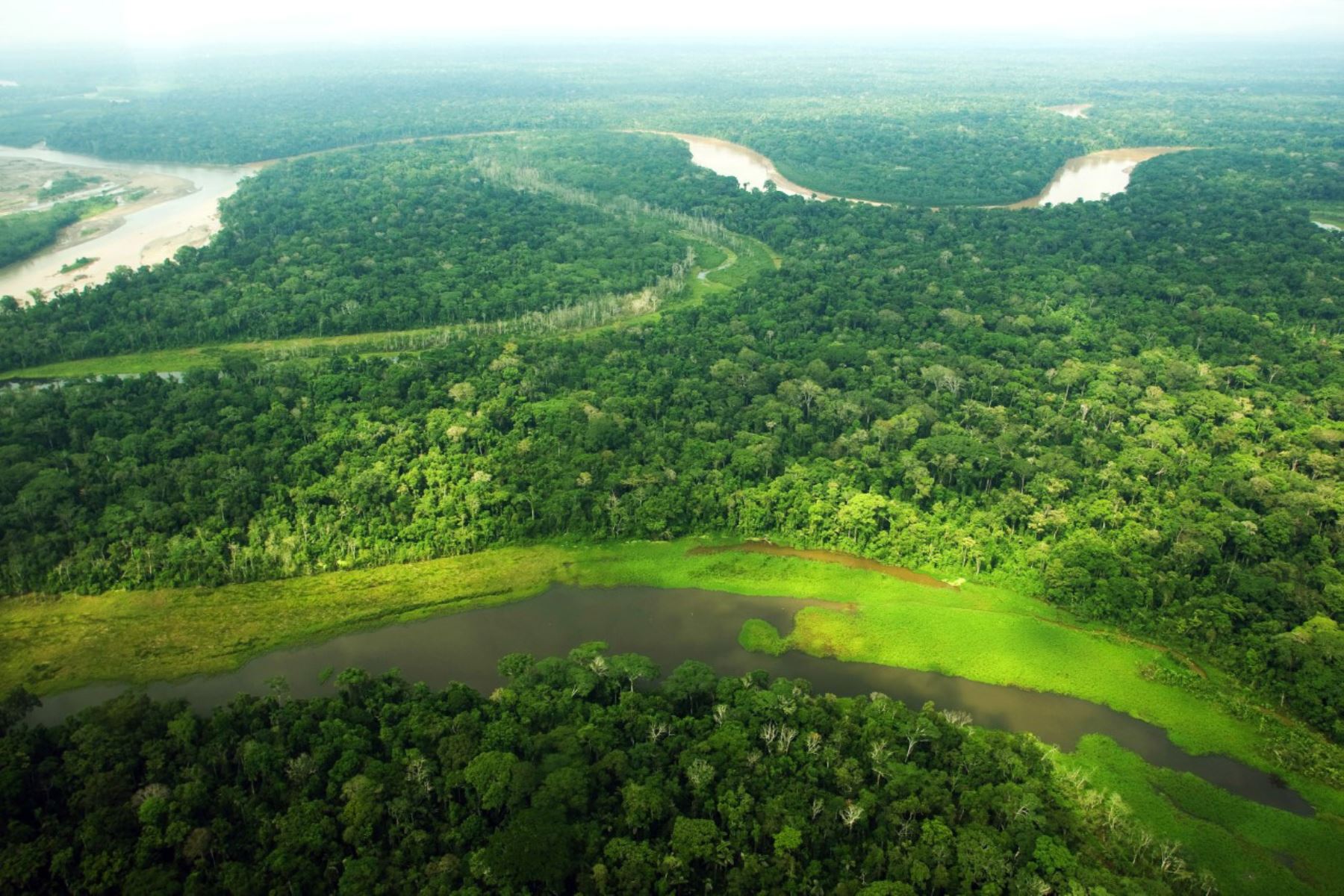 Gobiernos regionales amazónicos avanzan en zonificación forestal de su territorio