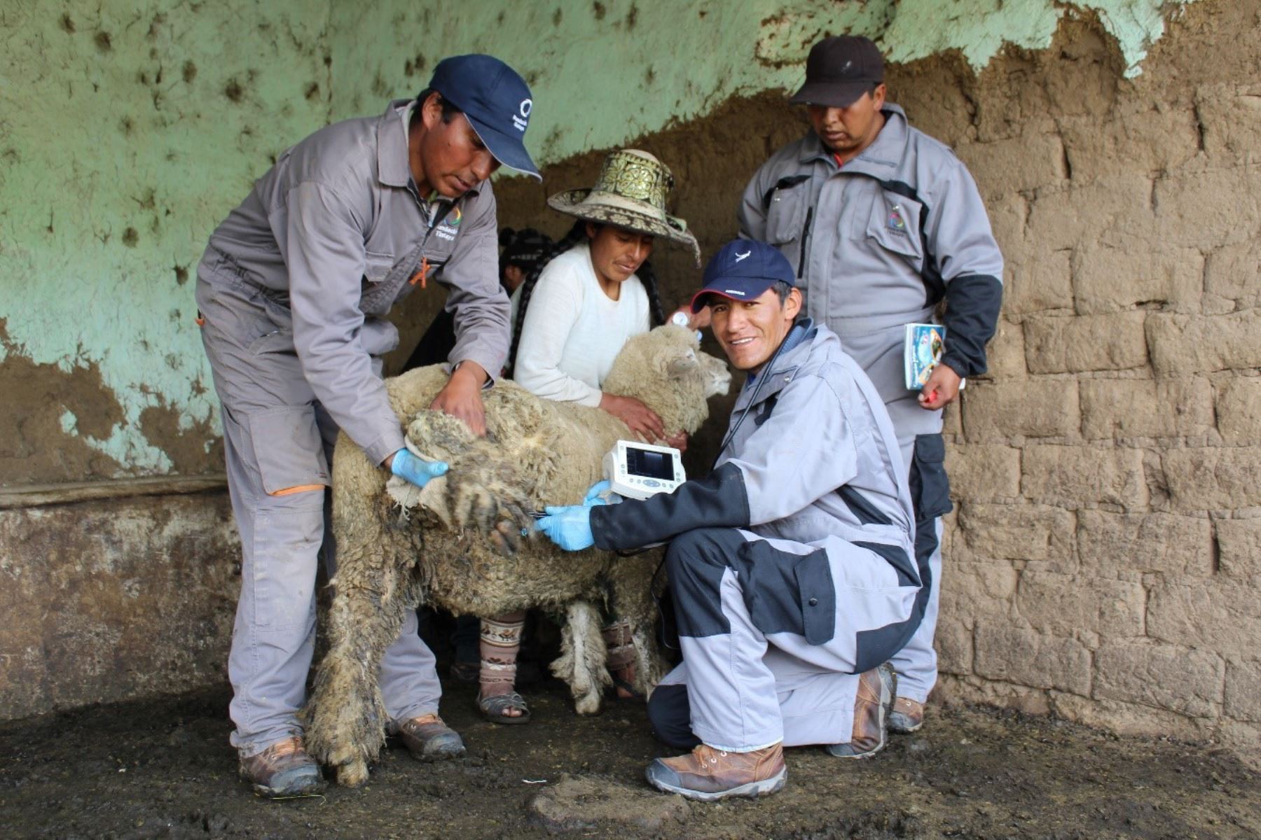 Firman convenio para potenciar actividad agropecuaria en zonas altoandinas de Cusco ANDINA/Difusión