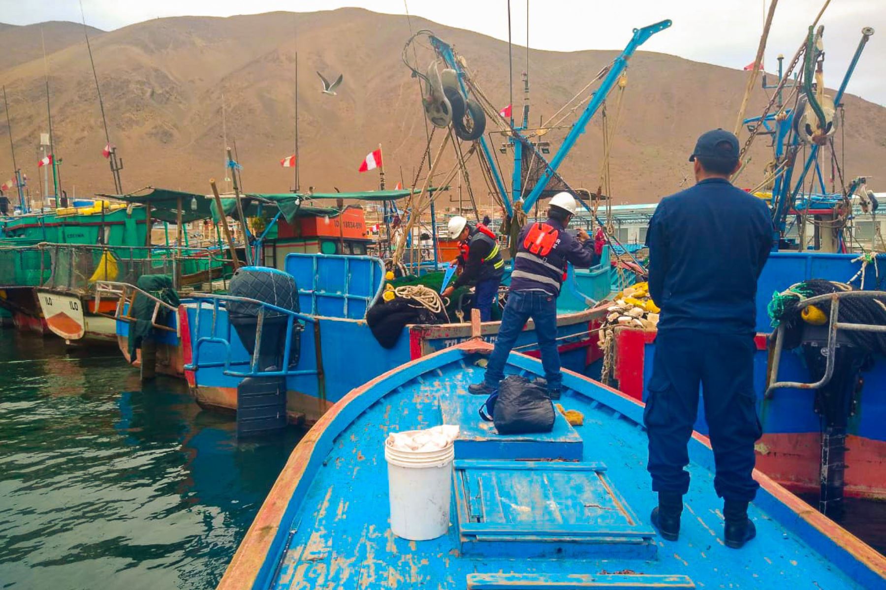 Ministerio de la Producción interviene embarcación pesquera artesanal por infringir normas en Tacna.
