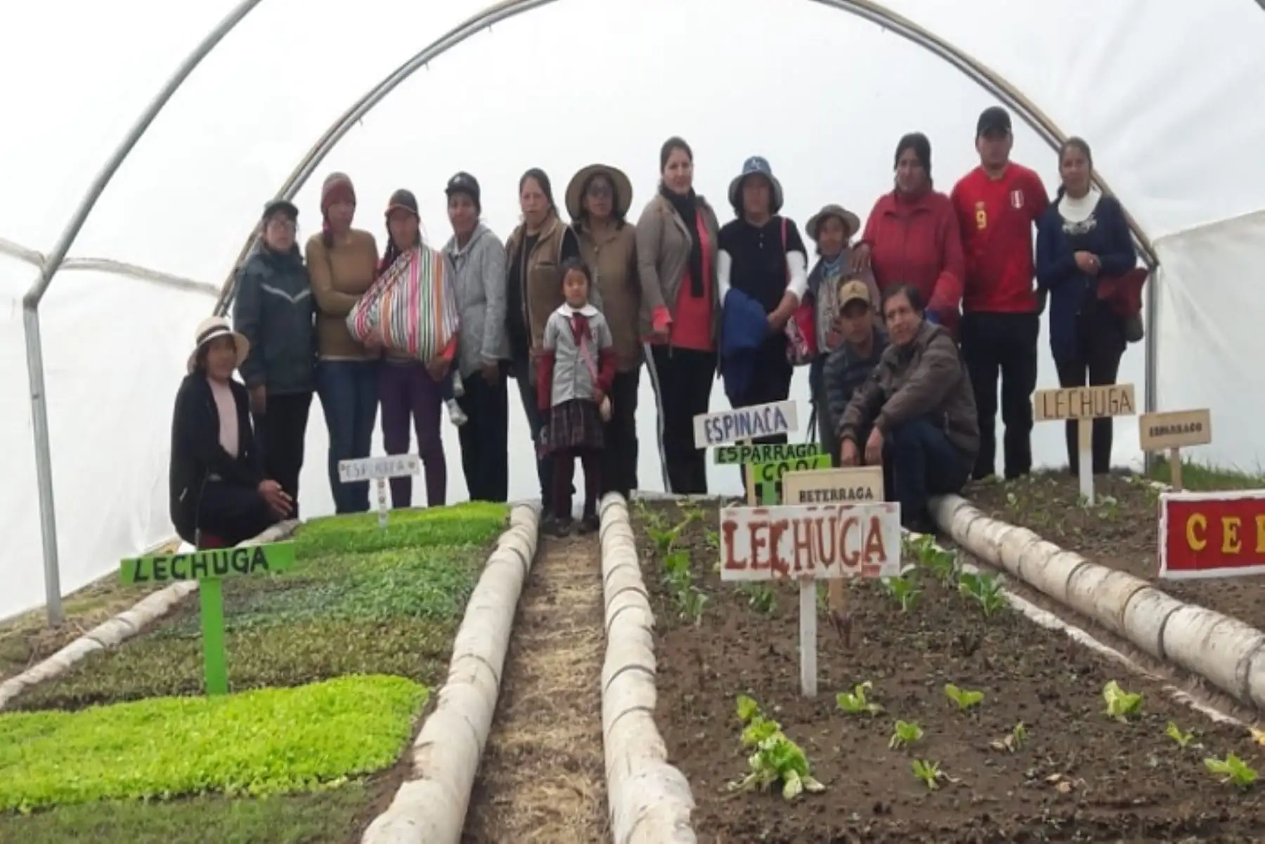 Se vienen entregando 13 fitotoldos en el departamento de Junín.