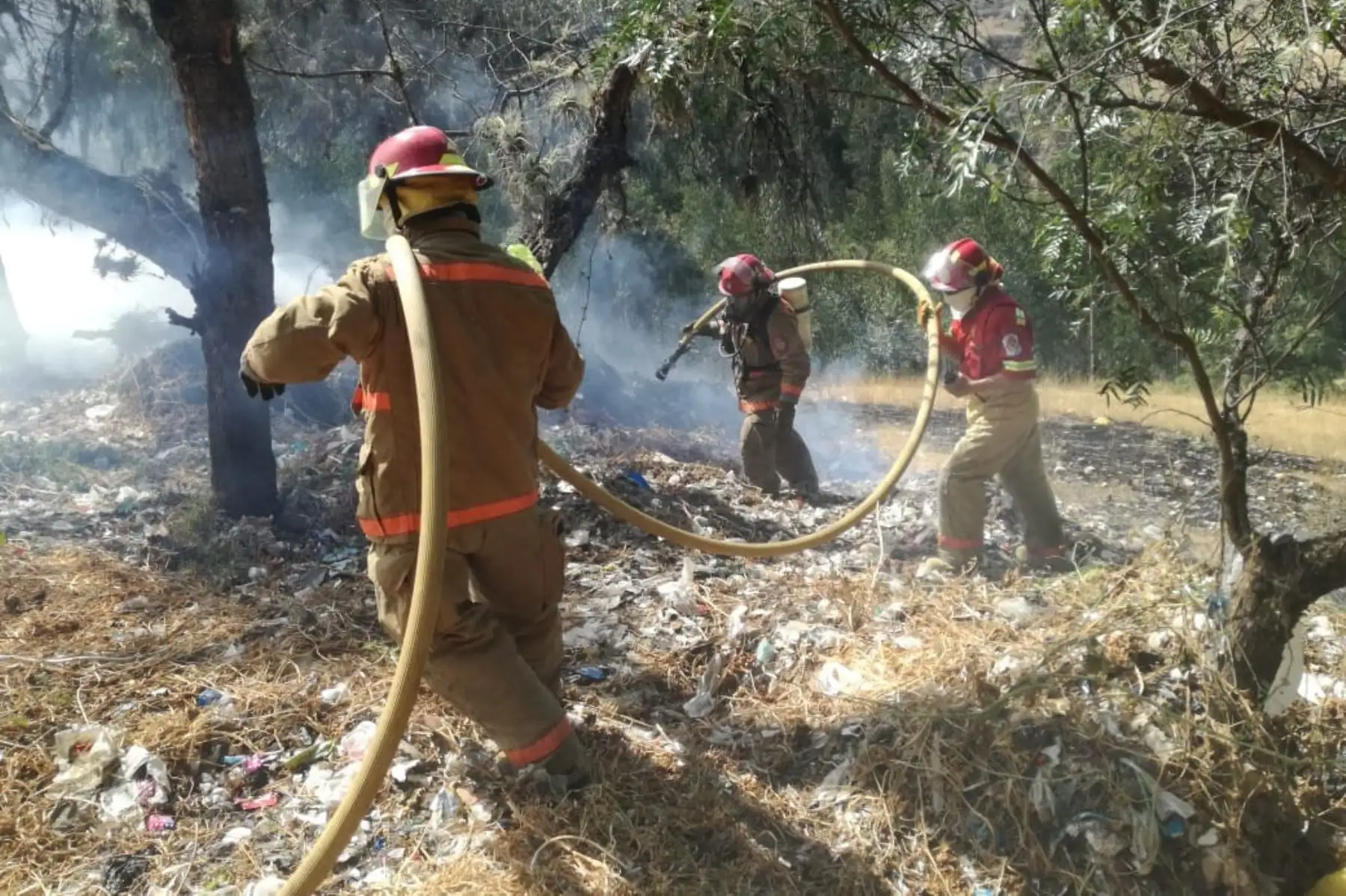 Incendio forestal arrasó con 15 hectáreas de bosque cerca del Parque Nacional Huascarán, región Áncash.