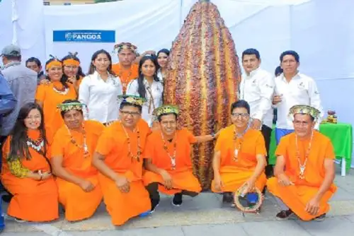 El chocolate nativo de 20 sabores tropicales podrá ser degustado por los asistentes al X Festival Nacional del Cacao Nativo Pangoa - Vraem 2019, que se realizará del 19 al 22 de setiembre en la Plaza Cívica de Pangoa, en la provincia de Satipo, región Junín.