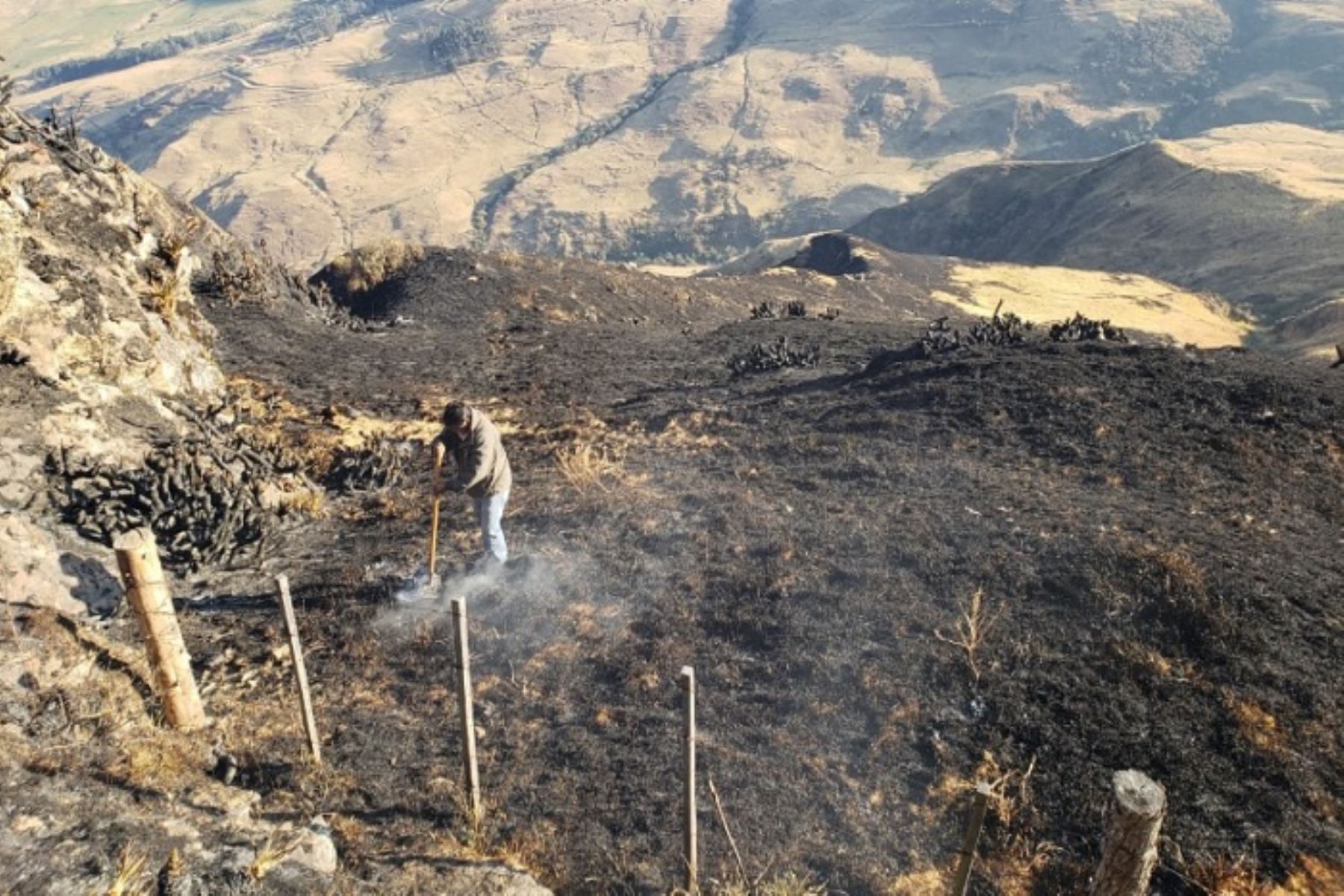 Aproximadamente 527 hectáreas de cobertura natural destruyeron los incendios forestales extinguidos esta mañana en las regiones de Cajamarca y Piura, según reportes preliminares del Instituto Nacional de Defensa Civil (Indeci).