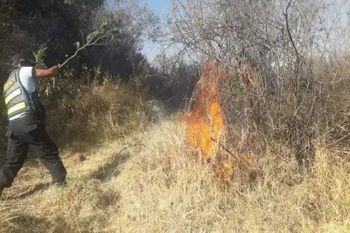 En la región Áncash ya suman 102 los incendios forestales registrados hasta la fecha, superando en más del 100 por ciento los registrados el año pasado, y han arrasado 966,75 hectáreas de pastizales y 61,5 hectáreas de bosques, informó hoy el Centro de Operaciones de Emergencia Regional (COER) Áncash.