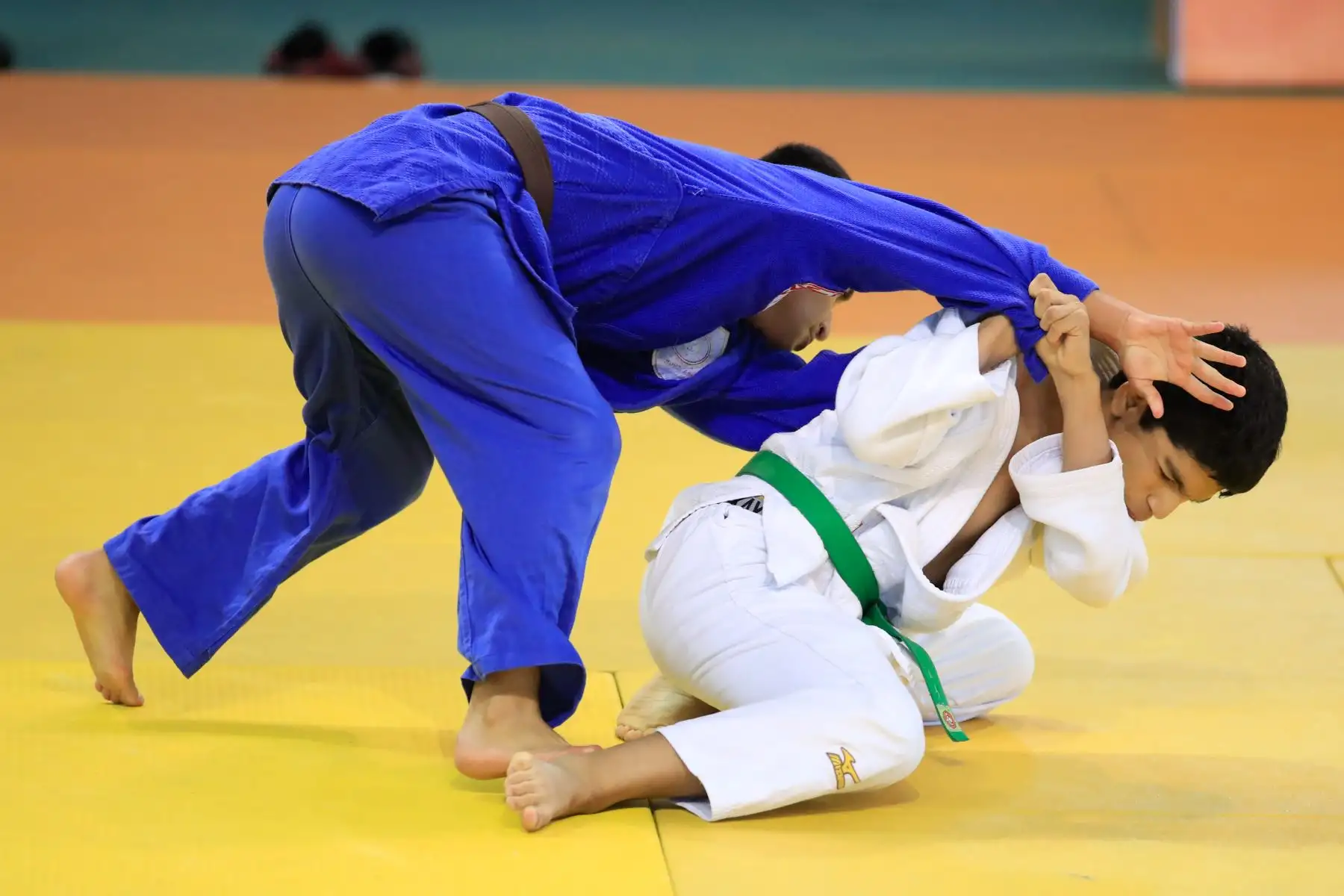 Juegos Deportivos Escolares Nacionales, Judo Mixto.


Foto: Andina/Juan Carlos Guzmán Negrini