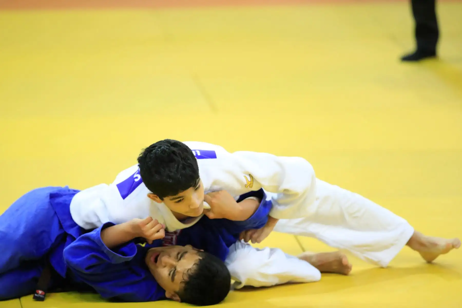 Juegos Deportivos Escolares Nacionales, Judo Mixto.


Foto: Andina/Juan Carlos Guzmán Negrini