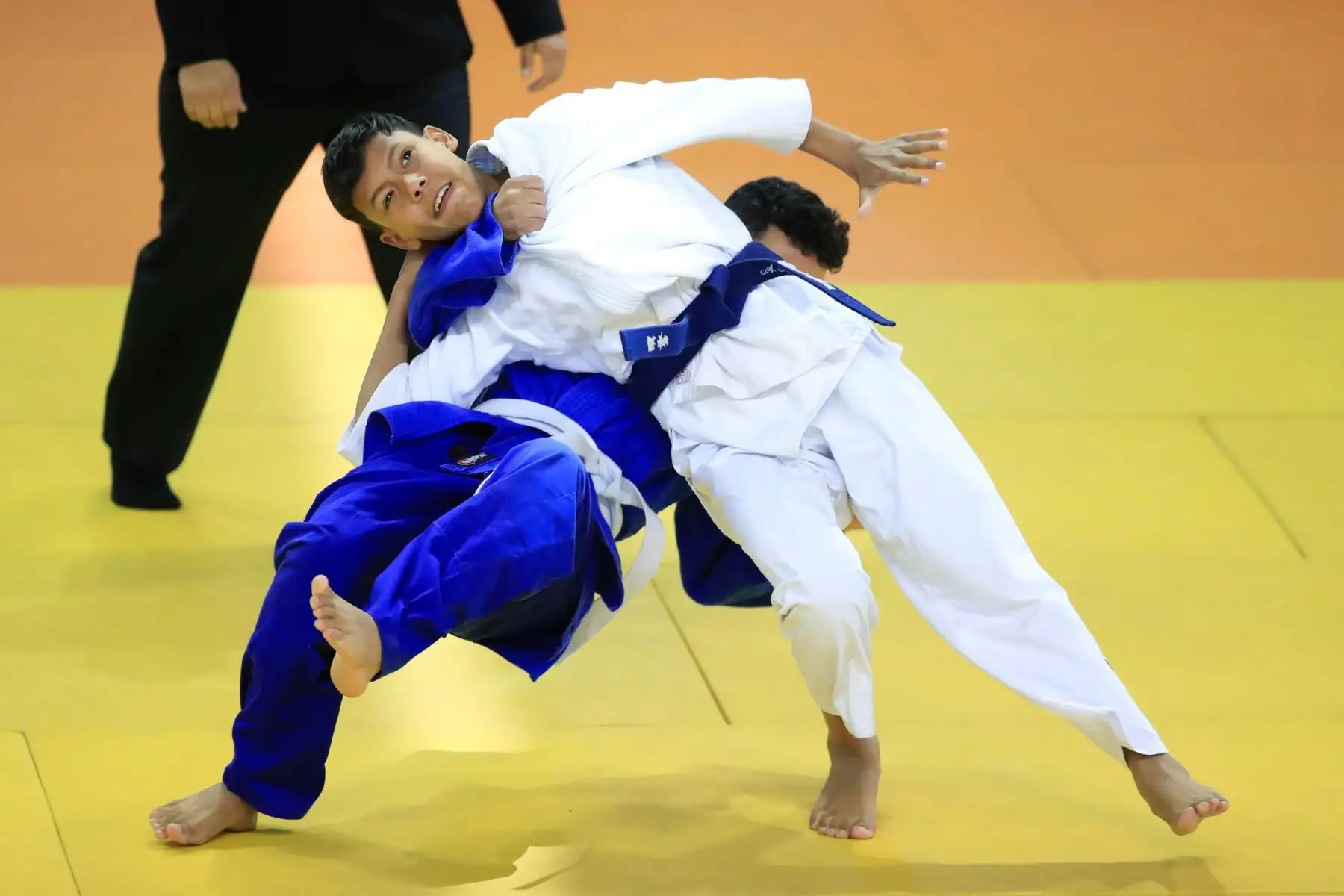 Juegos Deportivos Escolares Nacionales, Judo Mixto.


Foto: Andina/Juan Carlos Guzmán Negrini