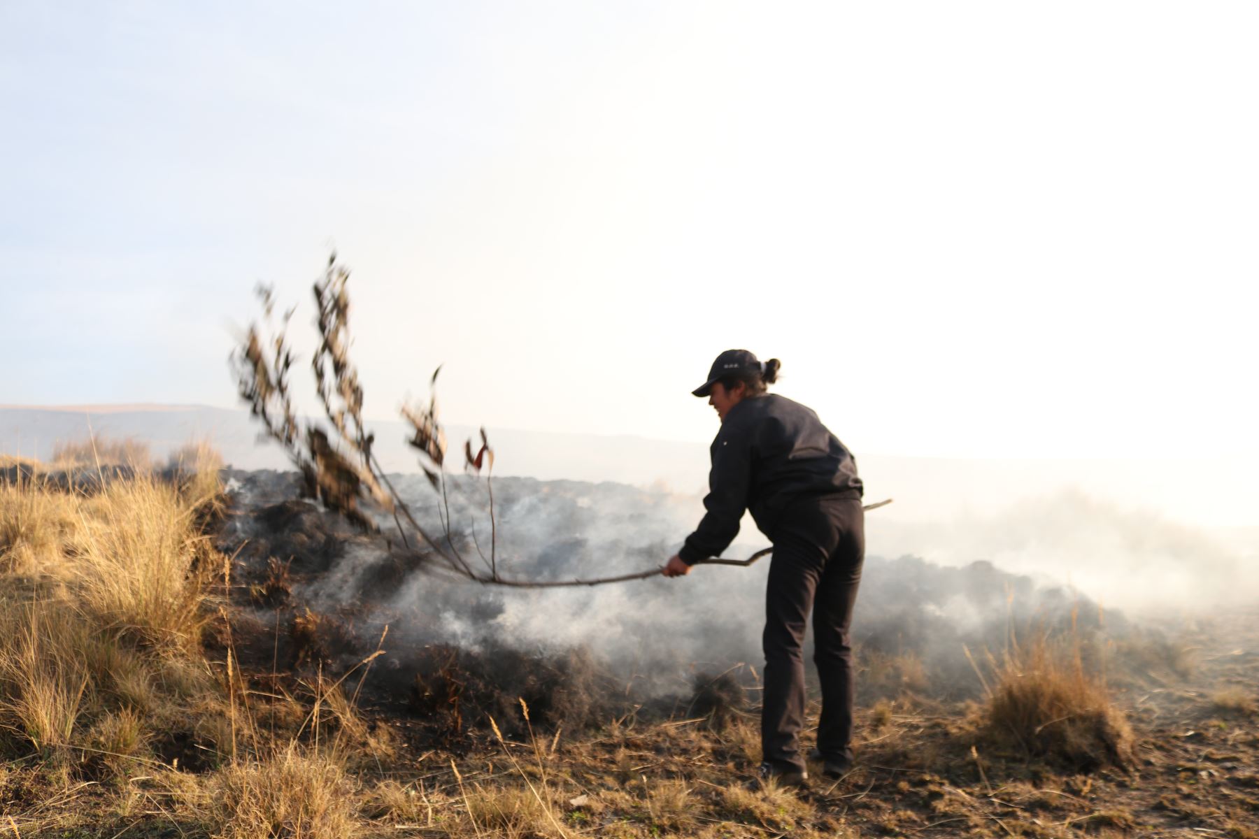 El incendio forestal que se registró en el cerro Quisapata, a la altura del kilómetro 6+200 de la carretera Jatumpata - Quisapata, sector de Condado, distrito y provincia de Abancay, región Apurímac, destruyó 5 hectáreas de cobertura natural, informó el Instituto Nacional de Defensa Civil (Indeci).ANDINA