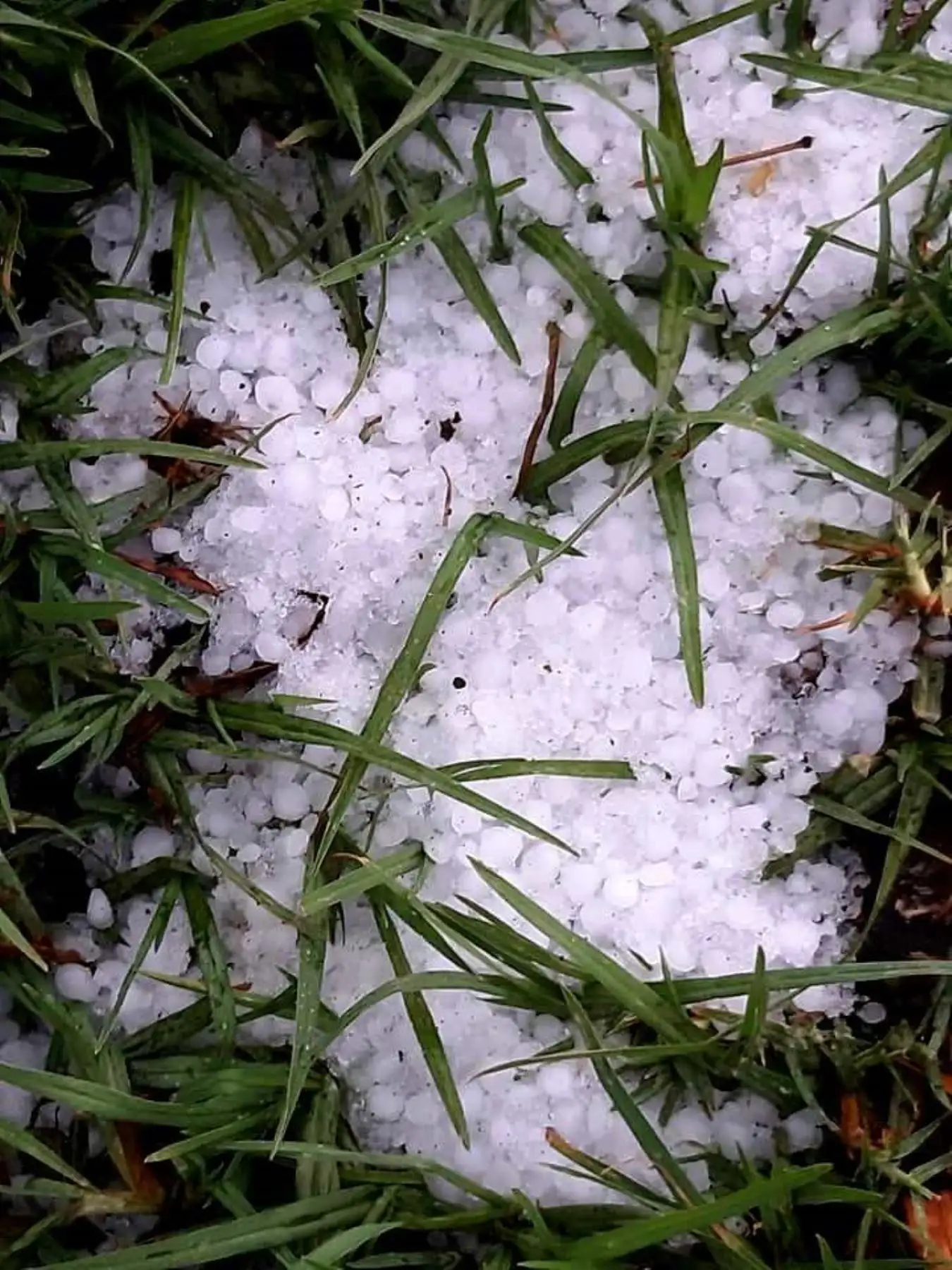 Se presentará granizada de forma aislada en localidades a más de 3,000 metros sobre el nivel del mar en la sierra sur.