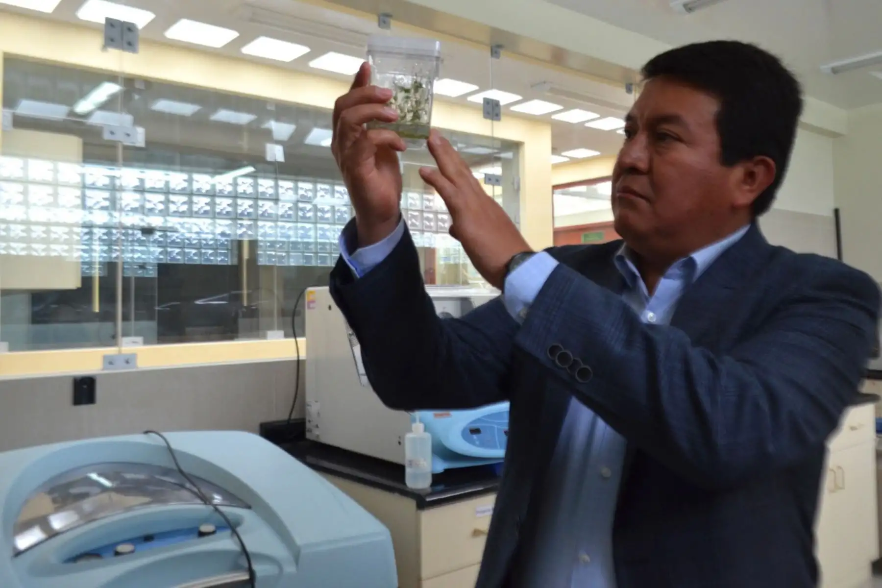 INIA apuesta por la investigación para mejorar calidad agrícola y ganadera, afirma su titular, Jorge Maicelo Quintana.